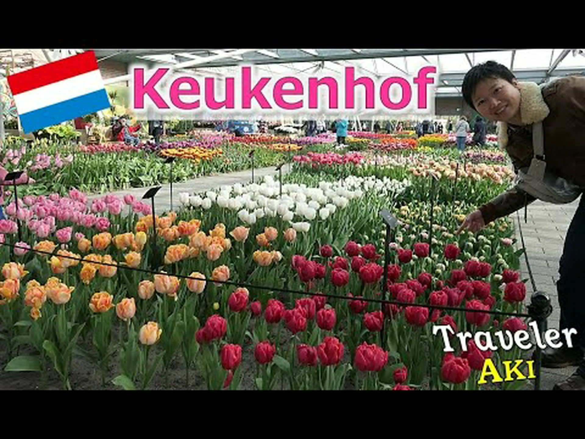 オランダのキューケンホフ公園 オランダのキューケンホフ公園