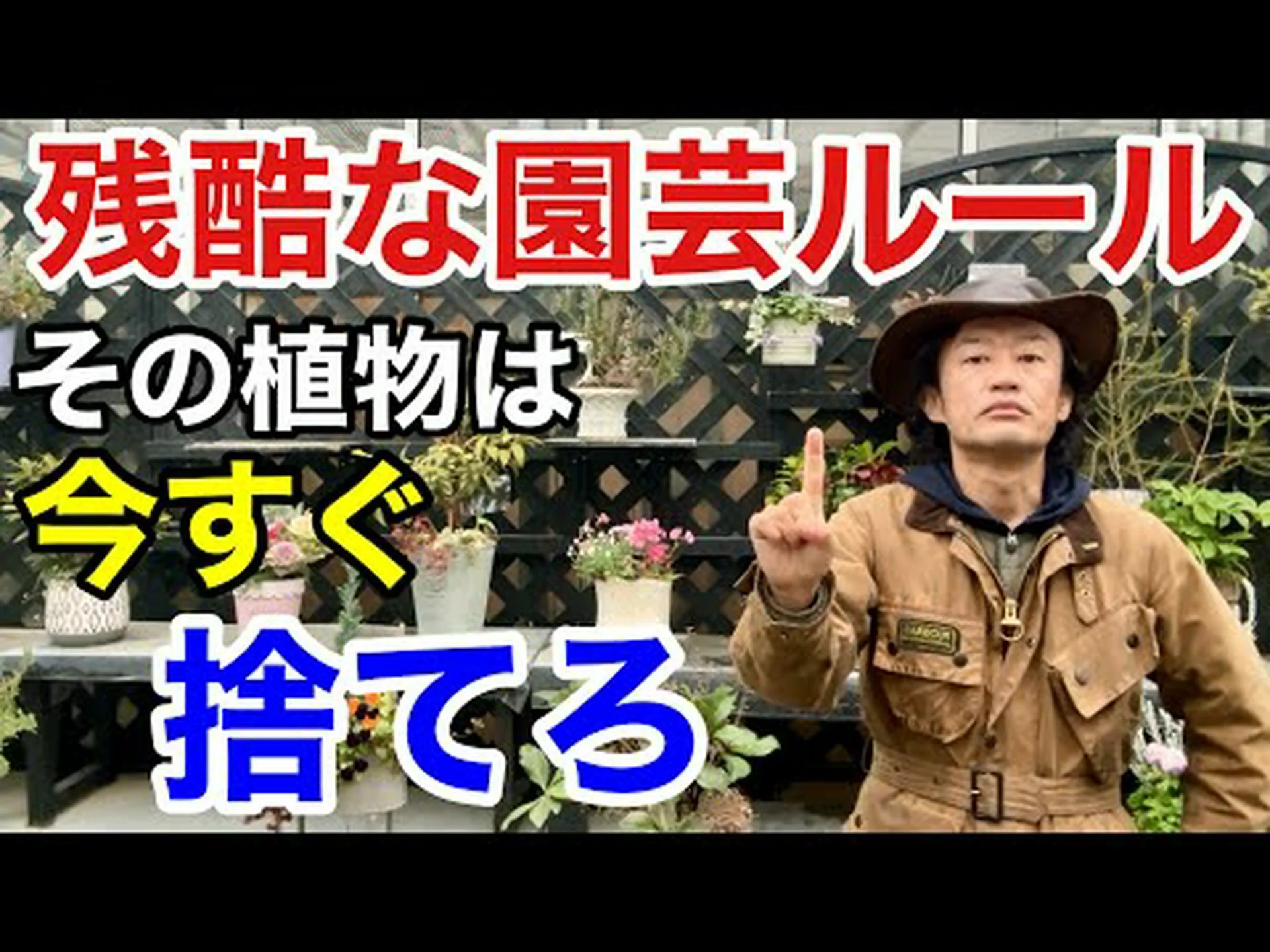 怠け者の庭 怠け者の庭