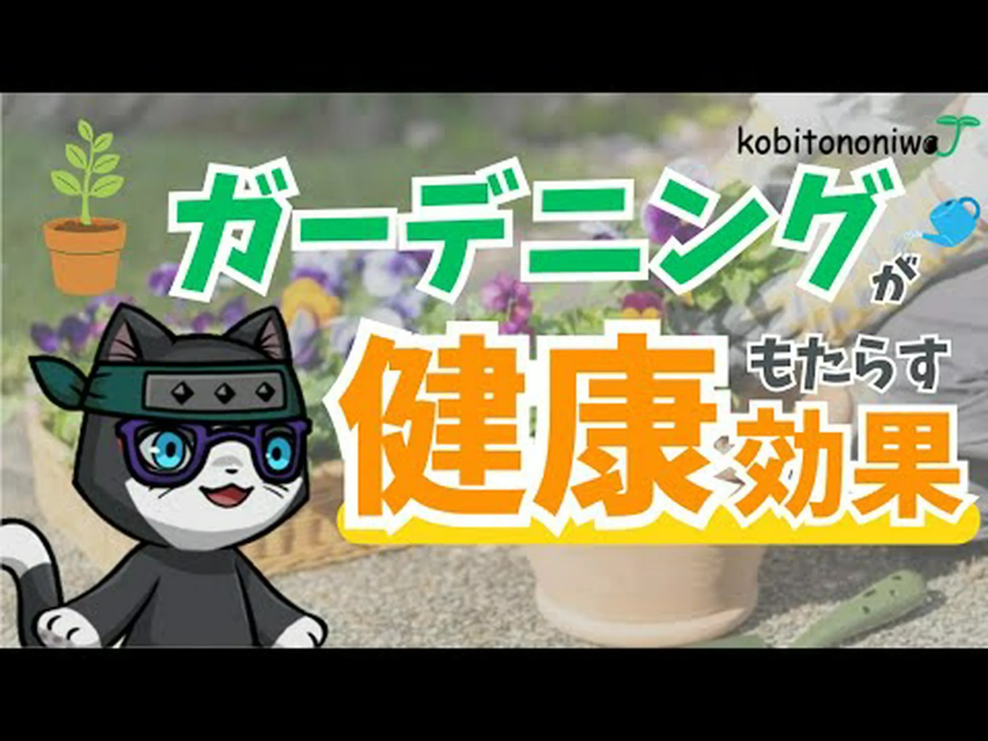 健康 健康