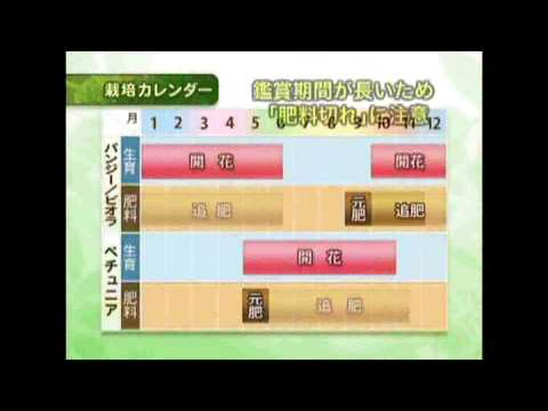 さまざまな緑の肥料 さまざまな緑の肥料