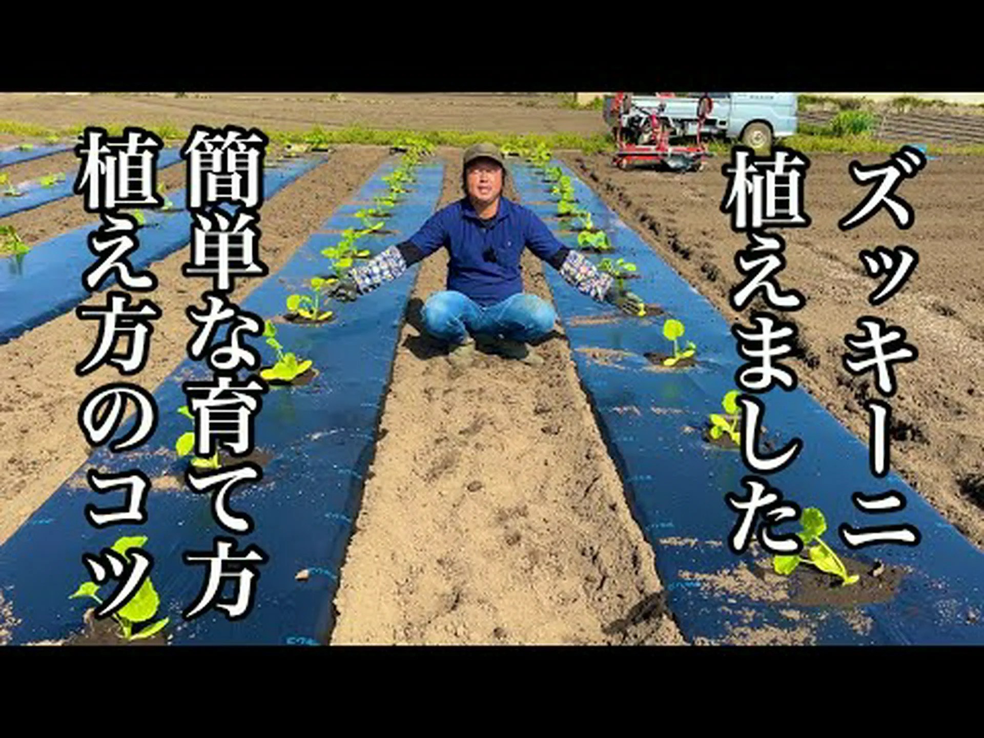 ズッキーニの植え方は? ズッキーニの植え方は?