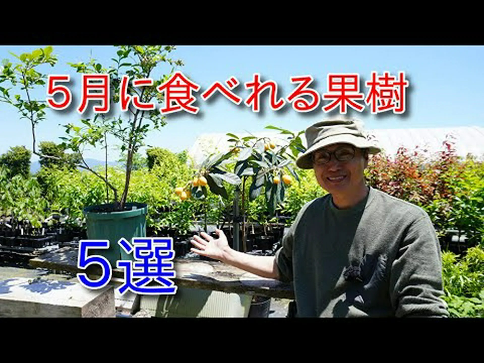 果物を守る 果物を守る