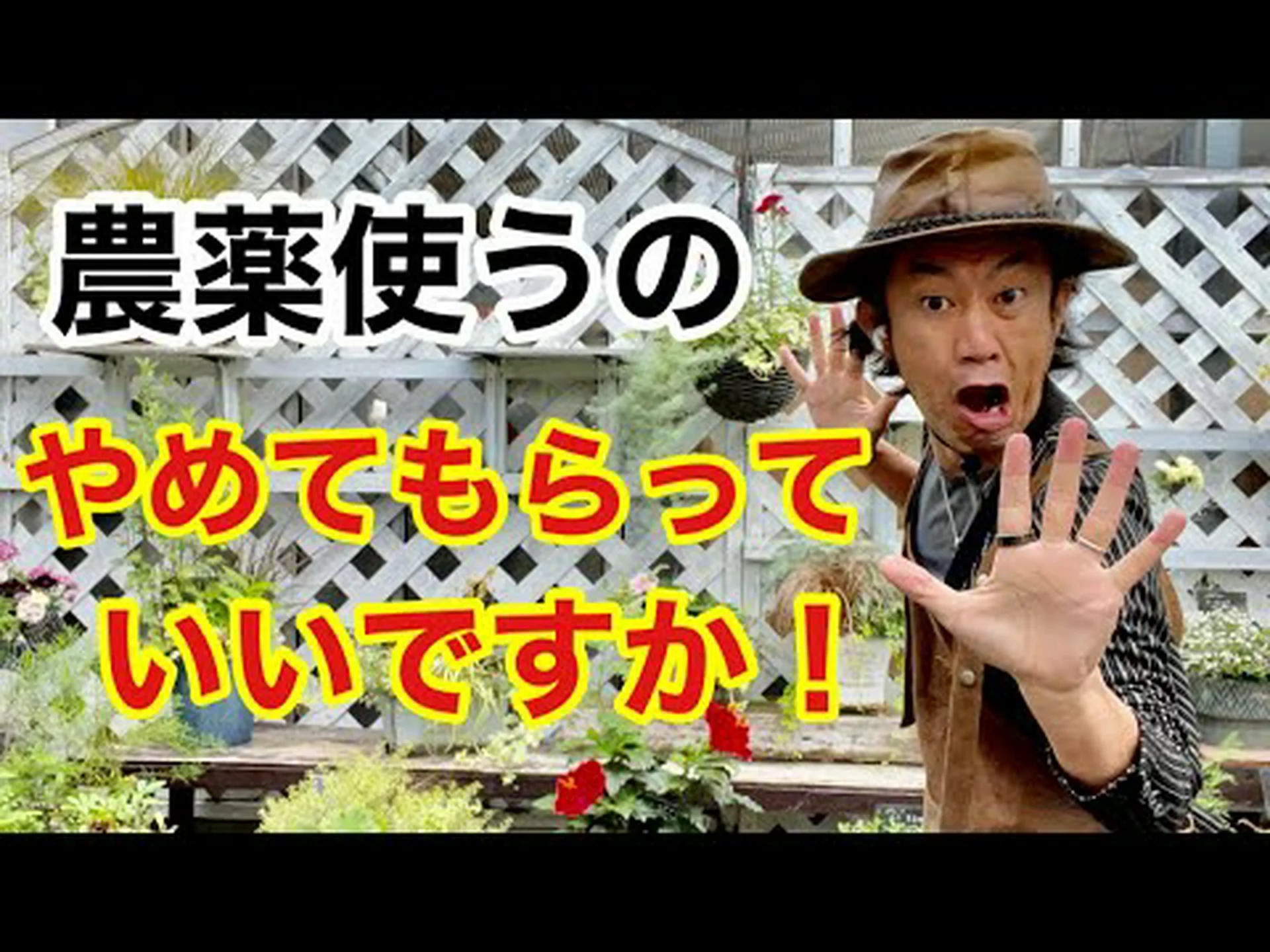 ニーム、インドニーム、インドスギ、インドライラック、インドアザディラ ニーム、インドニーム、インドスギ、インドライラック、インドアザディラ