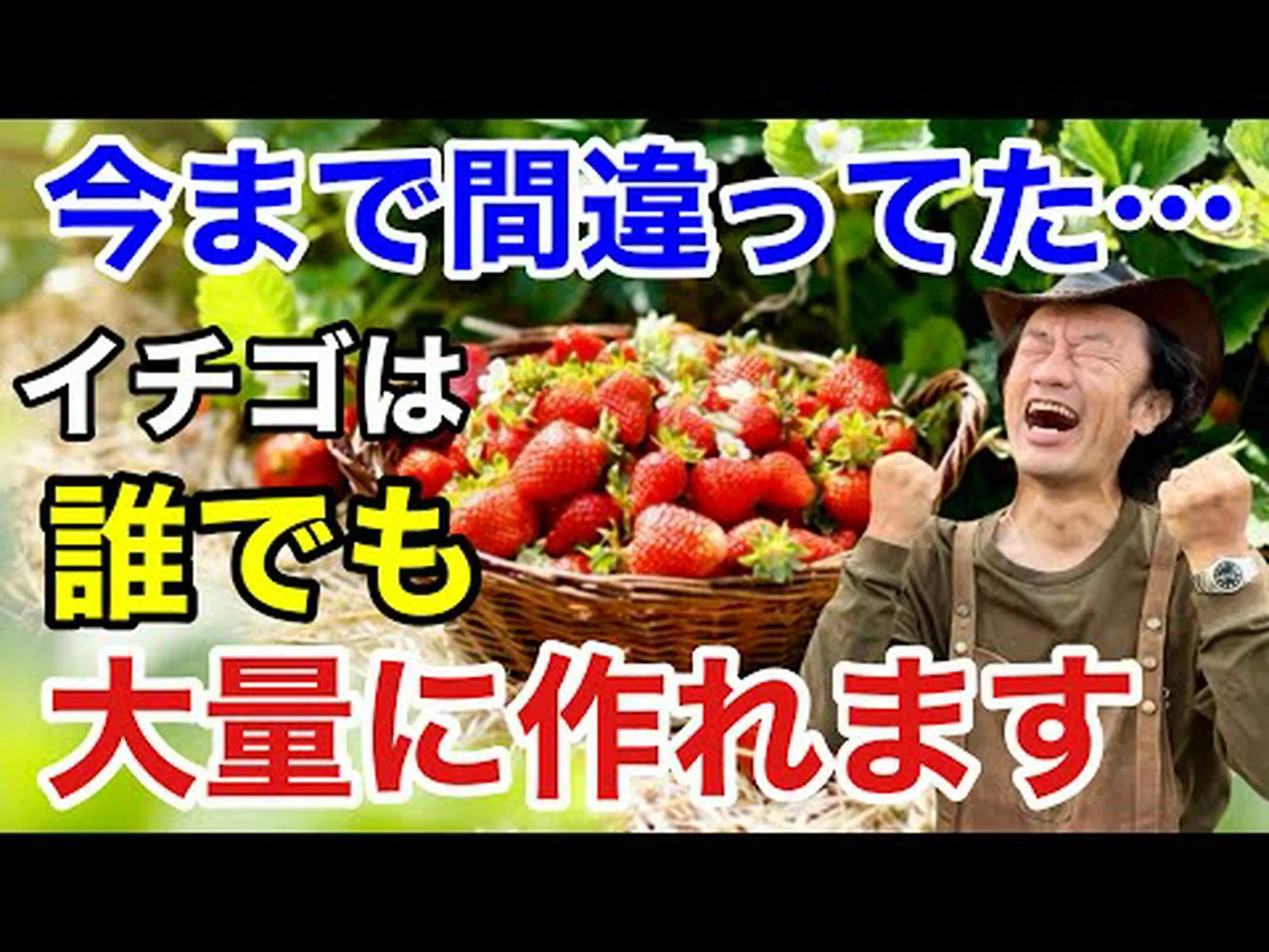 イチゴの最高品種 イチゴの最高品種
