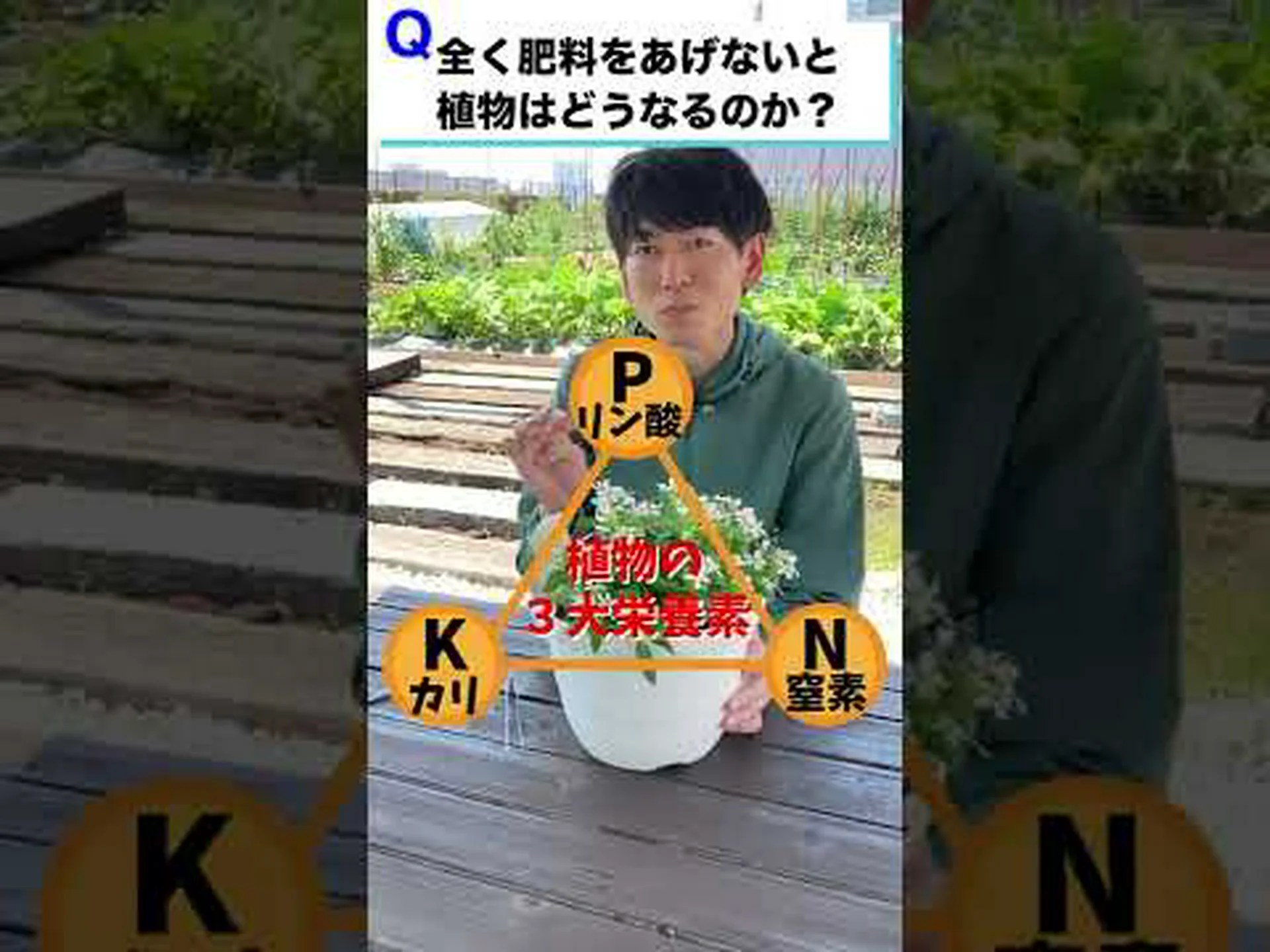 NPK、それはどういう意味ですか? NPK、それはどういう意味ですか?