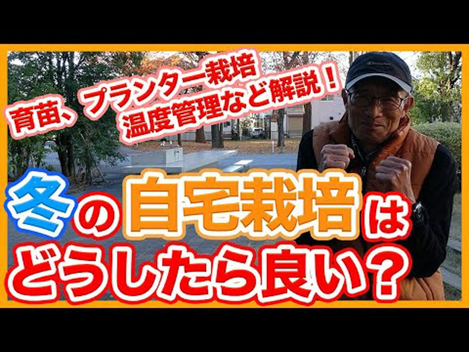 冬の家庭菜園では何をすればよいでしょうか? 冬の家庭菜園では何をすればよいでしょうか?