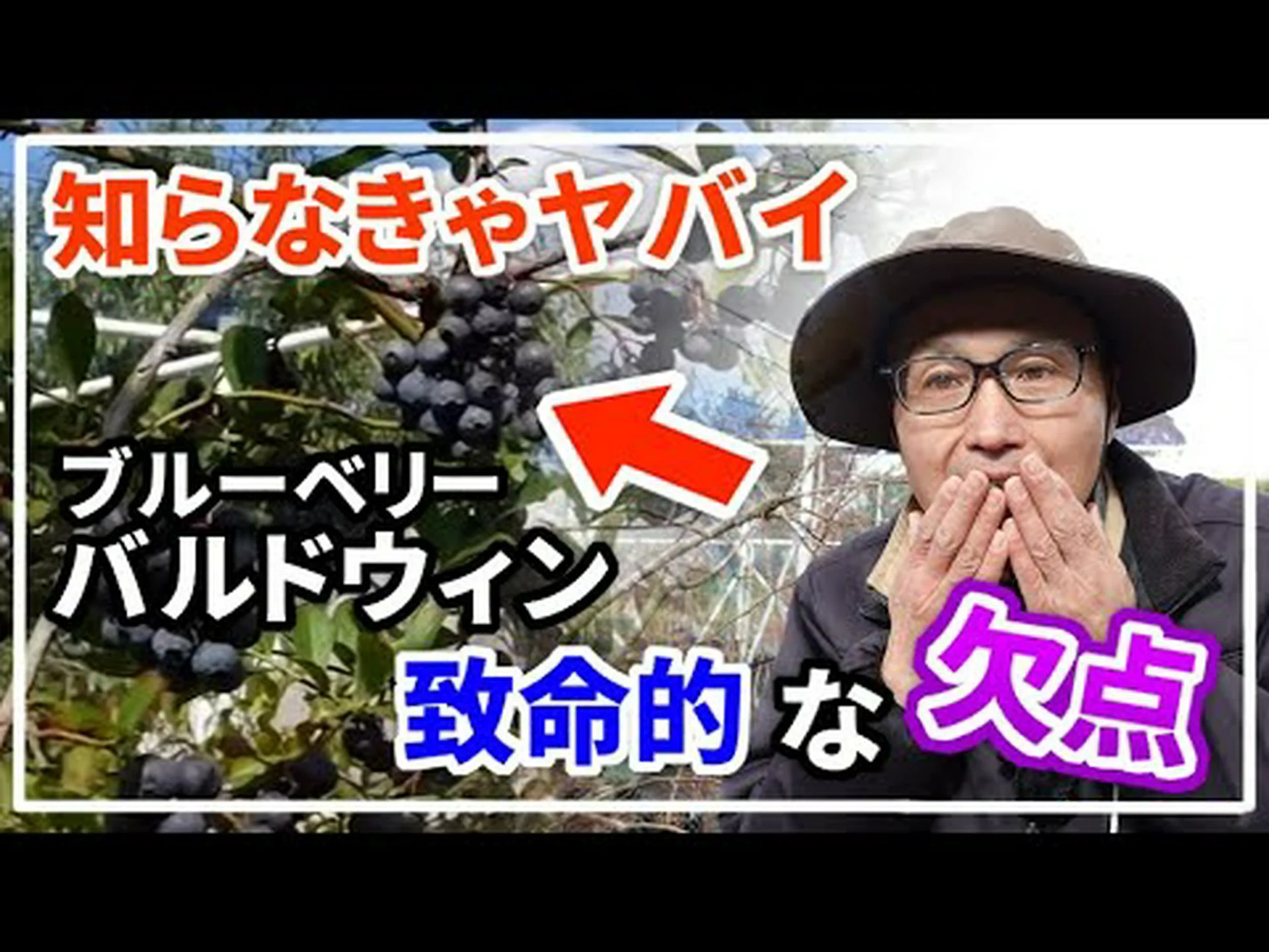 ビルバーギーはかがんだ ビルバーギーはかがんだ