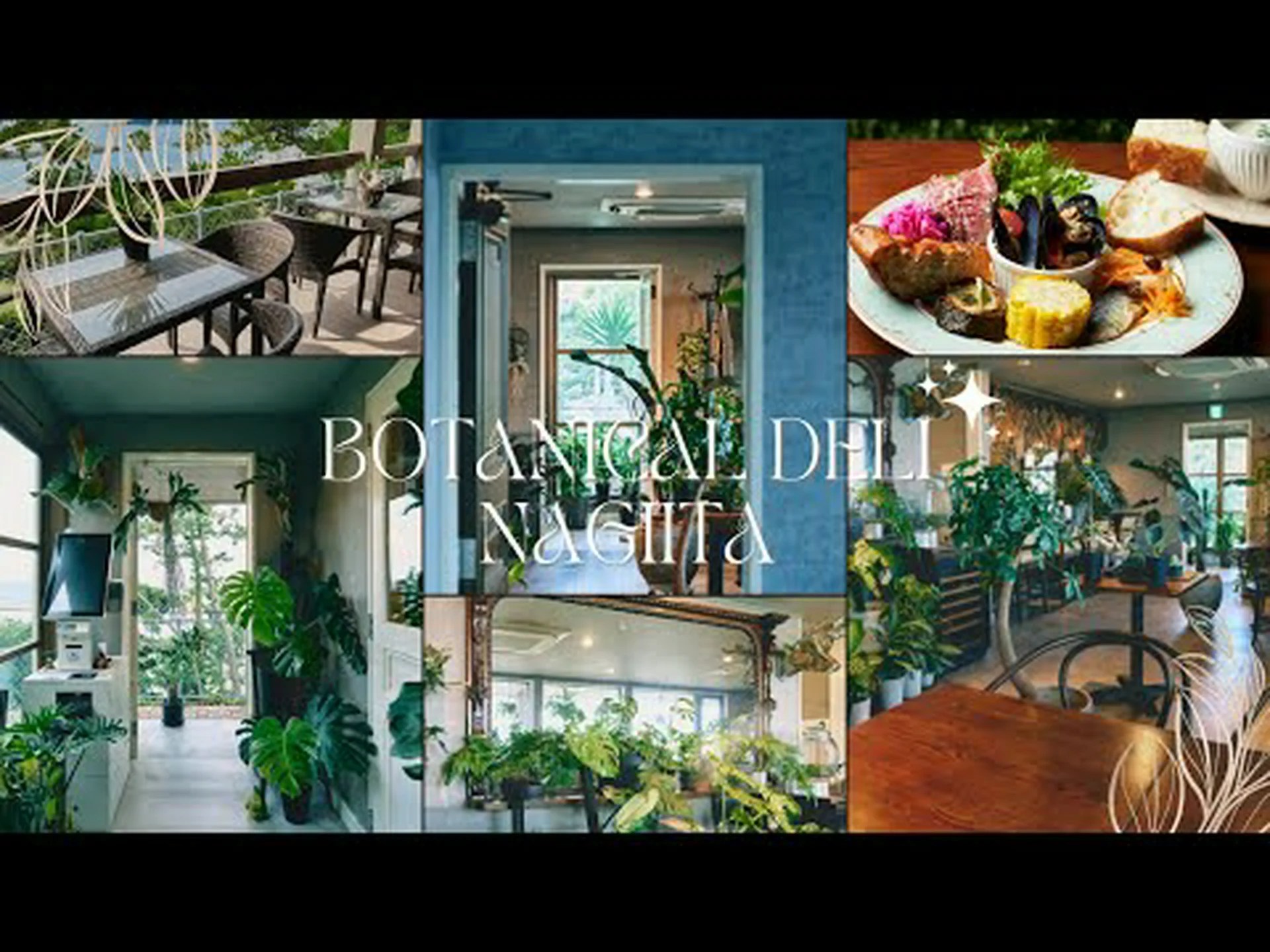 インディゴルピナス、Baptisia australis インディゴルピナス、Baptisia australis