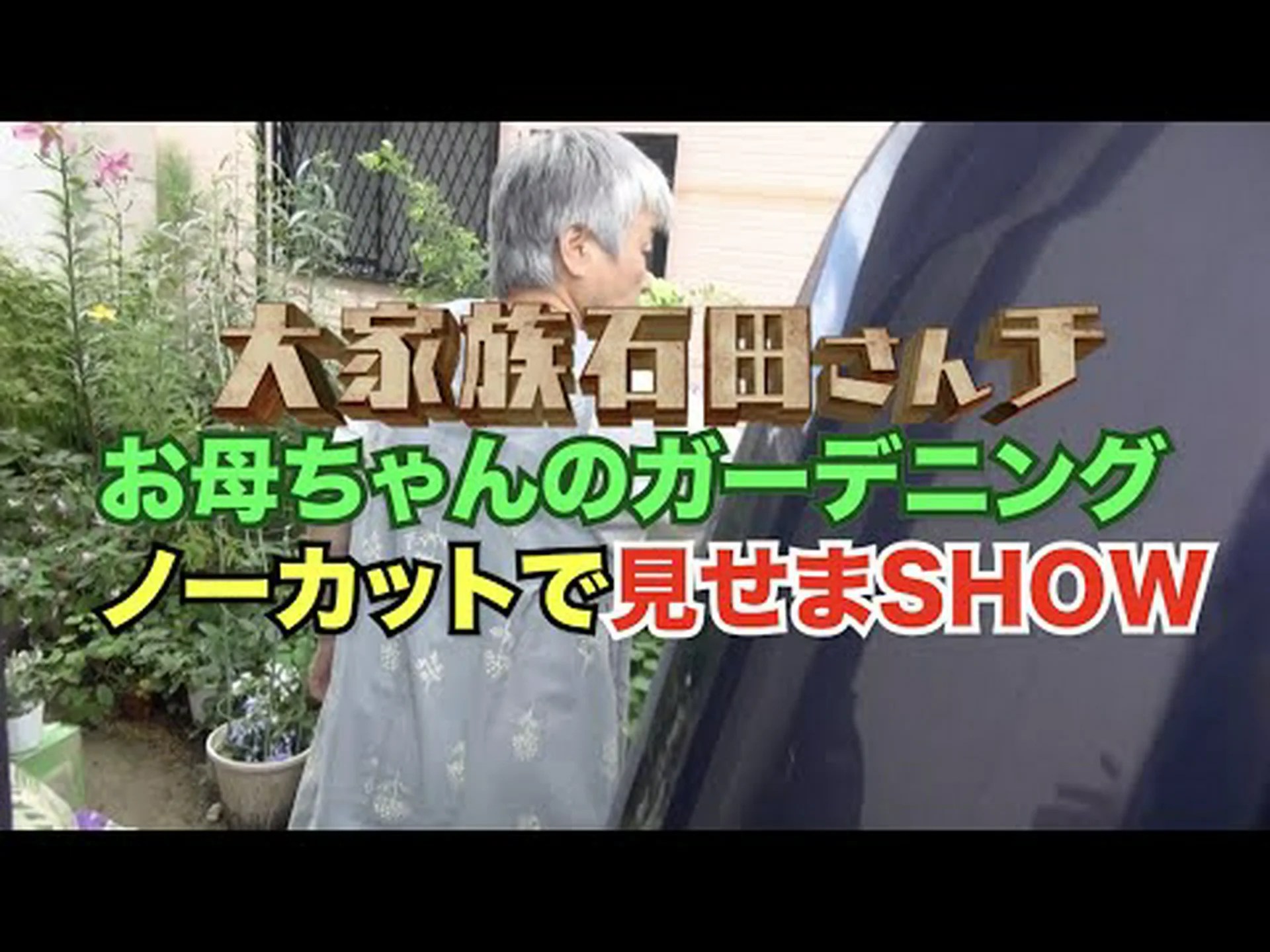 サクラソウ、大家族 サクラソウ、大家族
