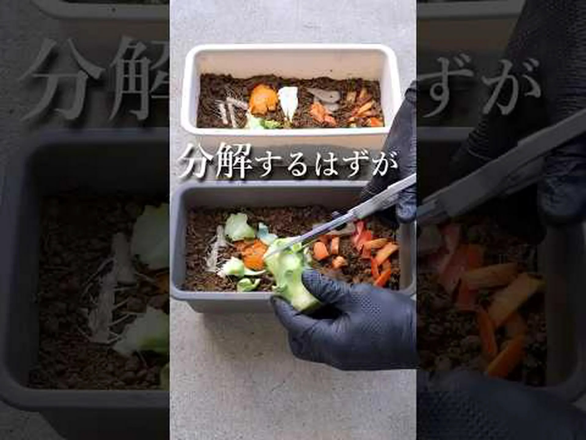 高床式の菜園を作る 高床式の菜園を作る