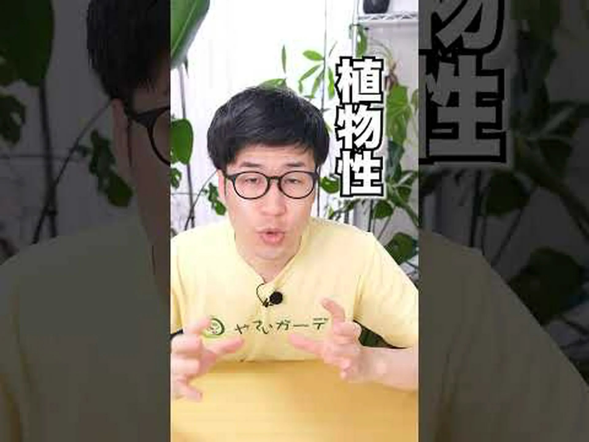 アンゼリカの肥料 アンゼリカの肥料