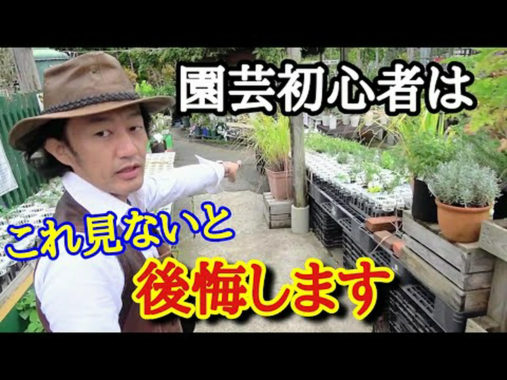 狩猟とあなたの庭 狩猟とあなたの庭