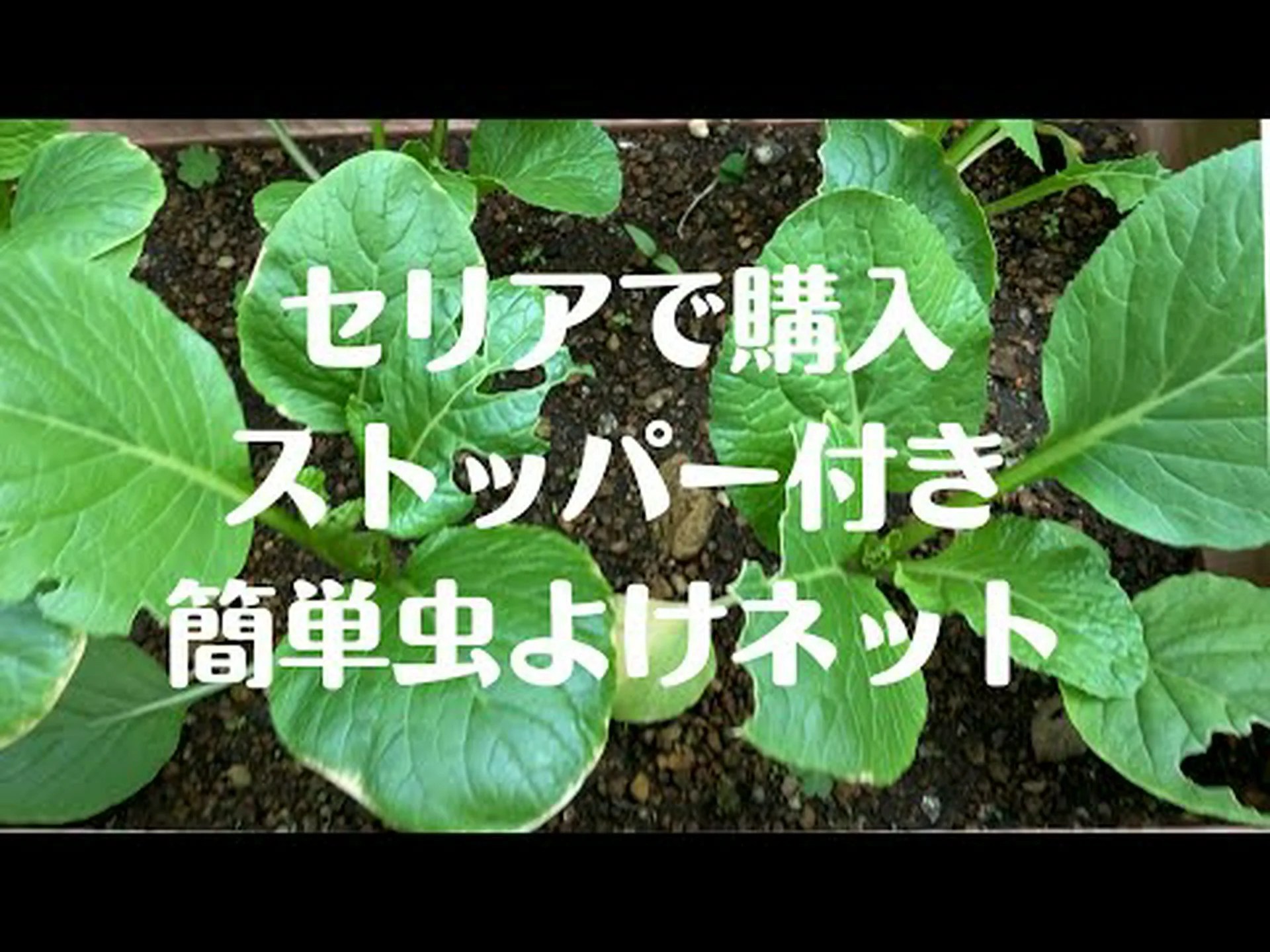 防虫ネットは 防虫ネットは