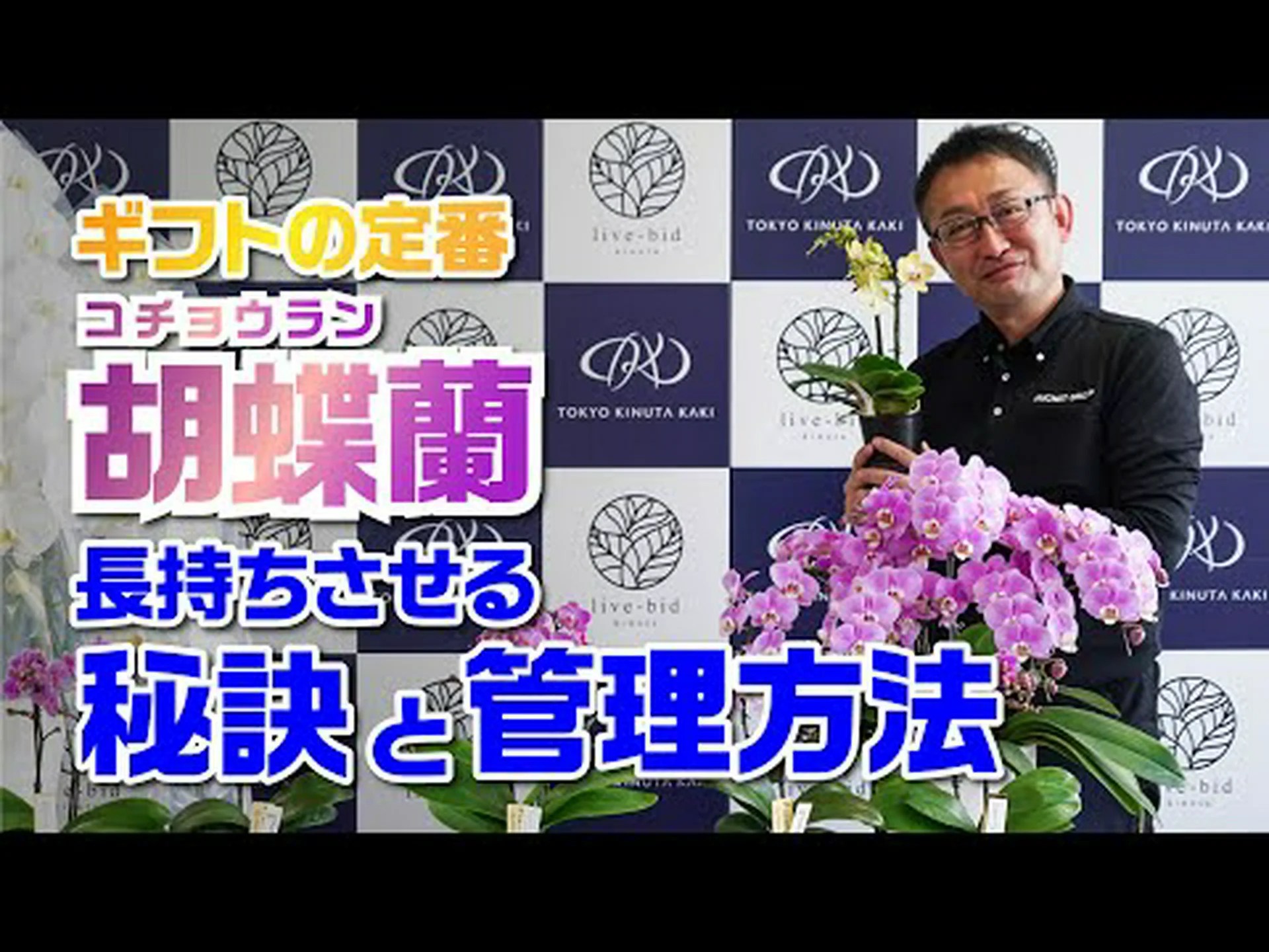 室内蘭の手入れ 室内蘭の手入れ