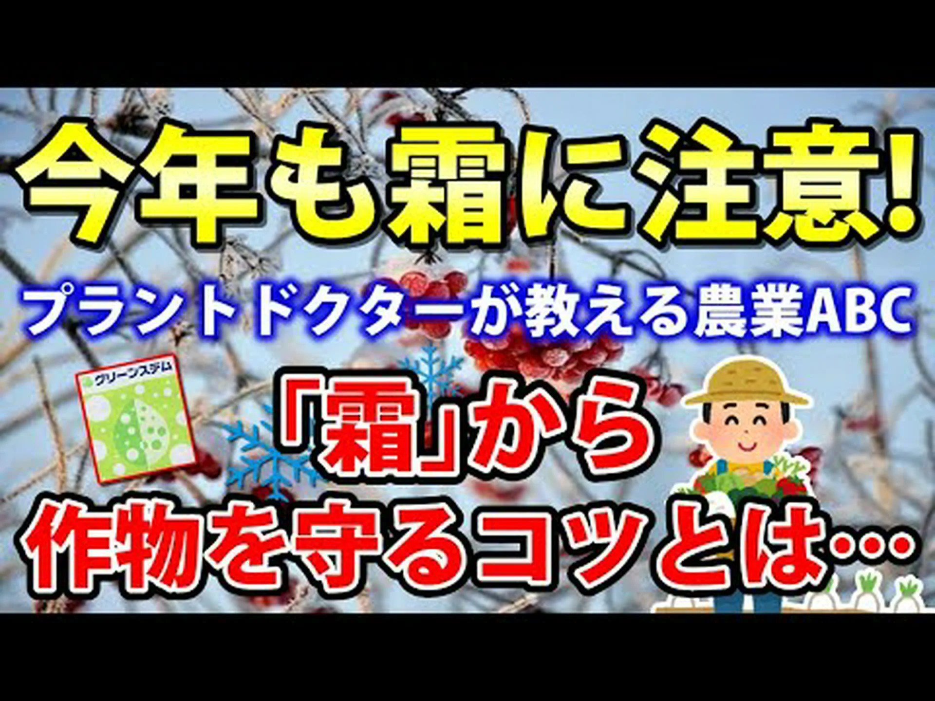 植物を霜から守るにはどうすればよいですか? 植物を霜から守るにはどうすればよいですか?