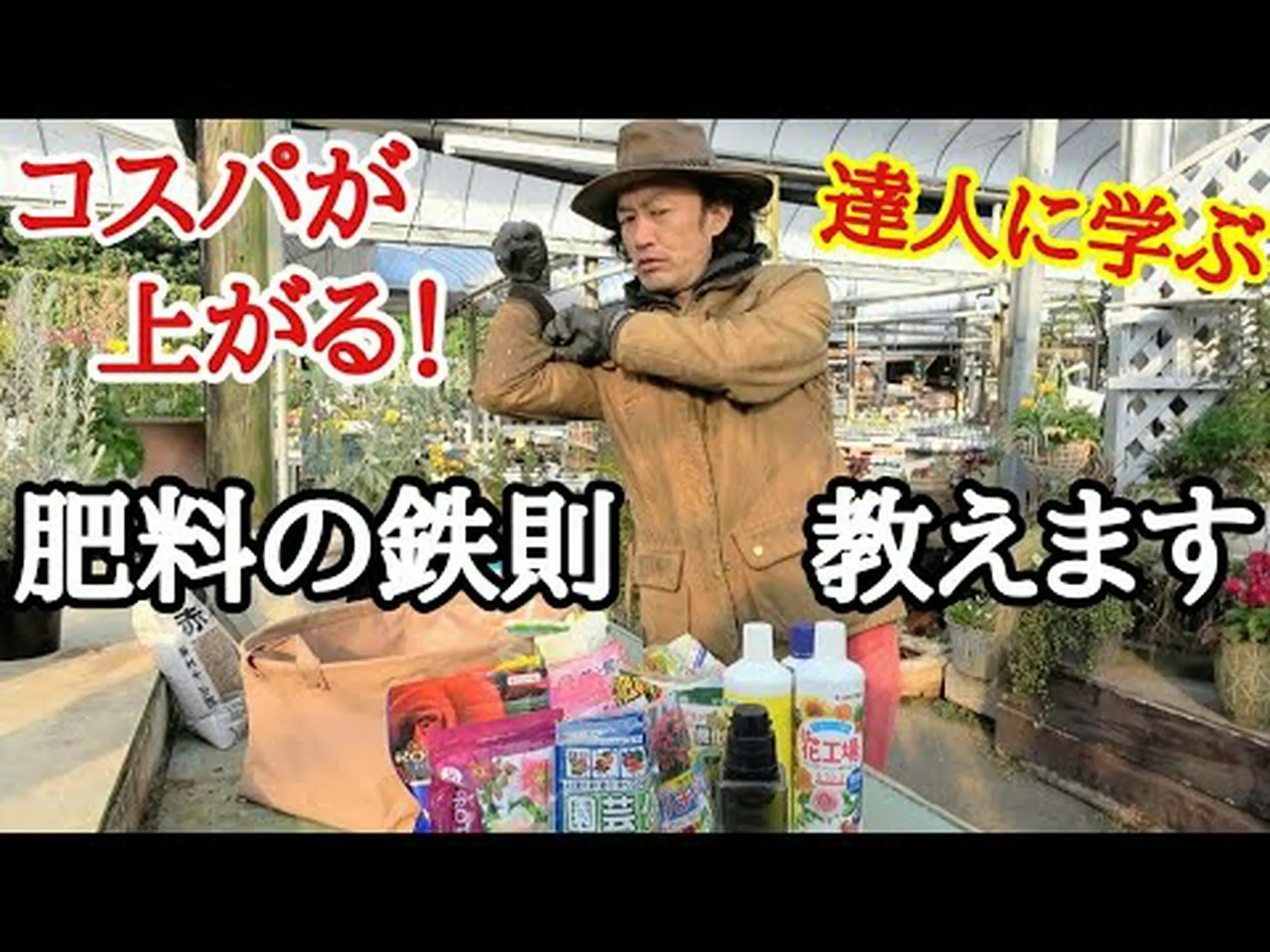 乾燥した血液と砕かれた角、天然肥料 乾燥した血液と砕かれた角、天然肥料