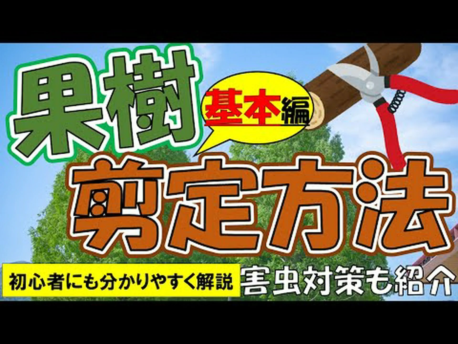 果樹の剪定 果樹の剪定