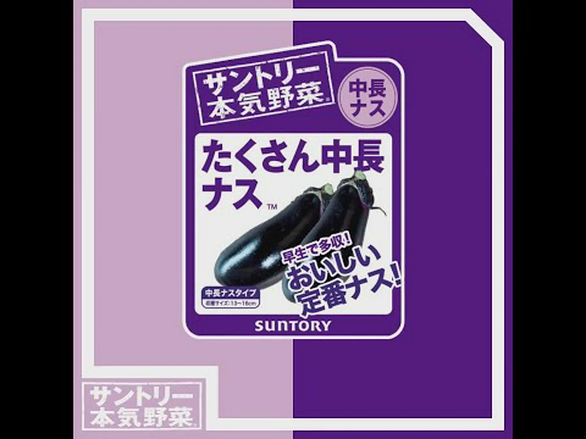 ナス ナス ナス ナス