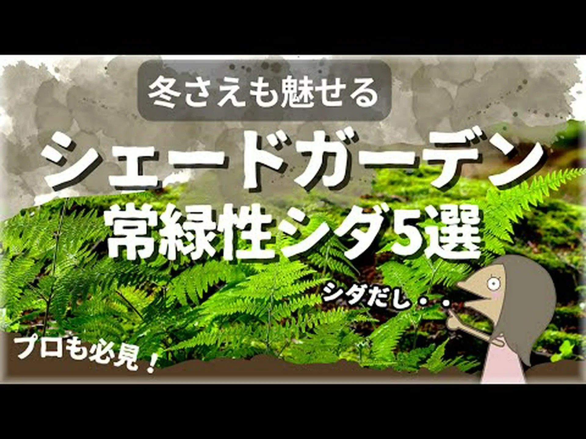 草とシダ 草とシダ