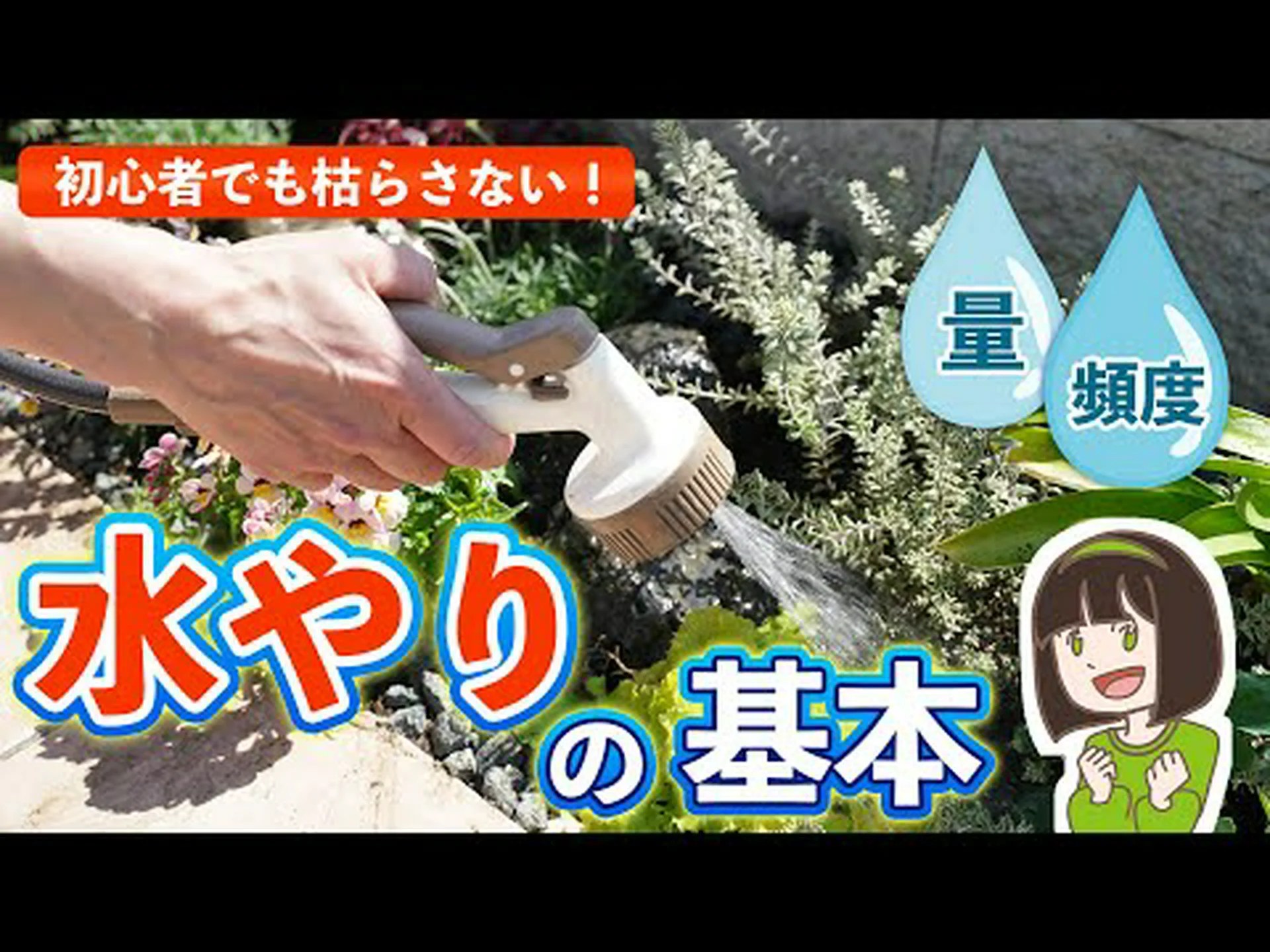 休暇中に植物に水をやるときのヒント 休暇中に植物に水をやるときのヒント