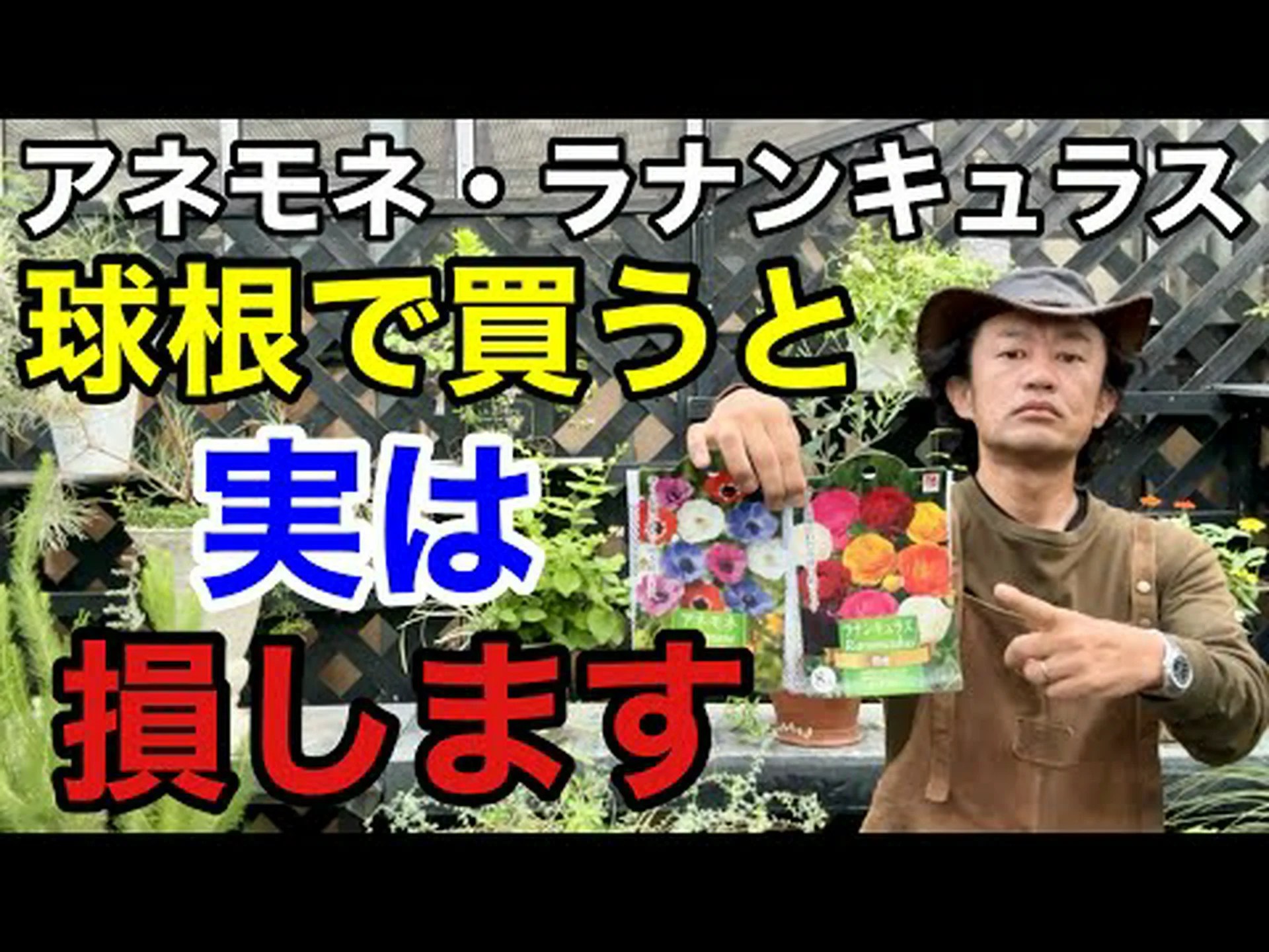 カリカンス、アネモネの木、ポンパドールの木 カリカンス、アネモネの木、ポンパドールの木