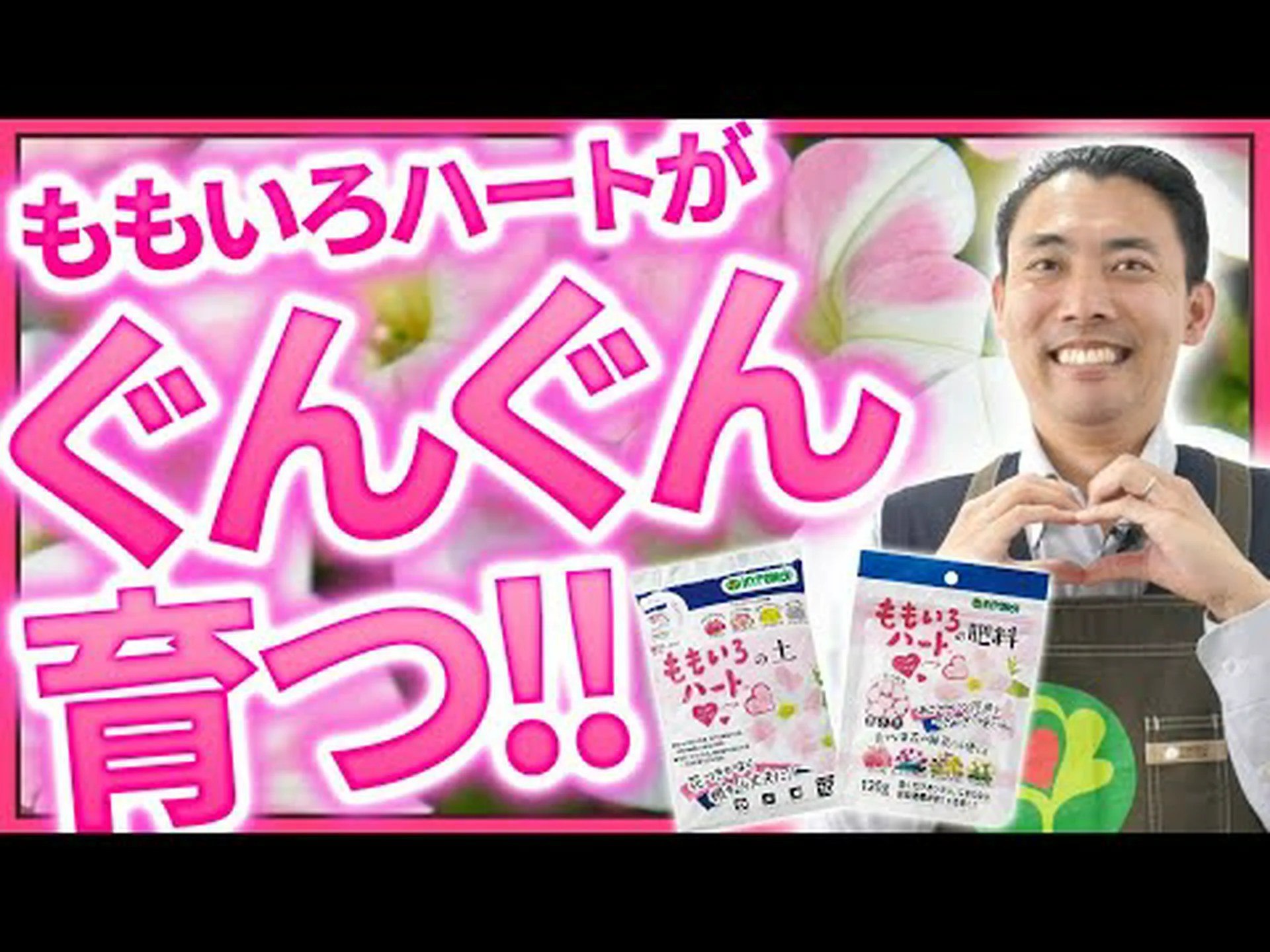 ハートの連鎖 ハートの連鎖