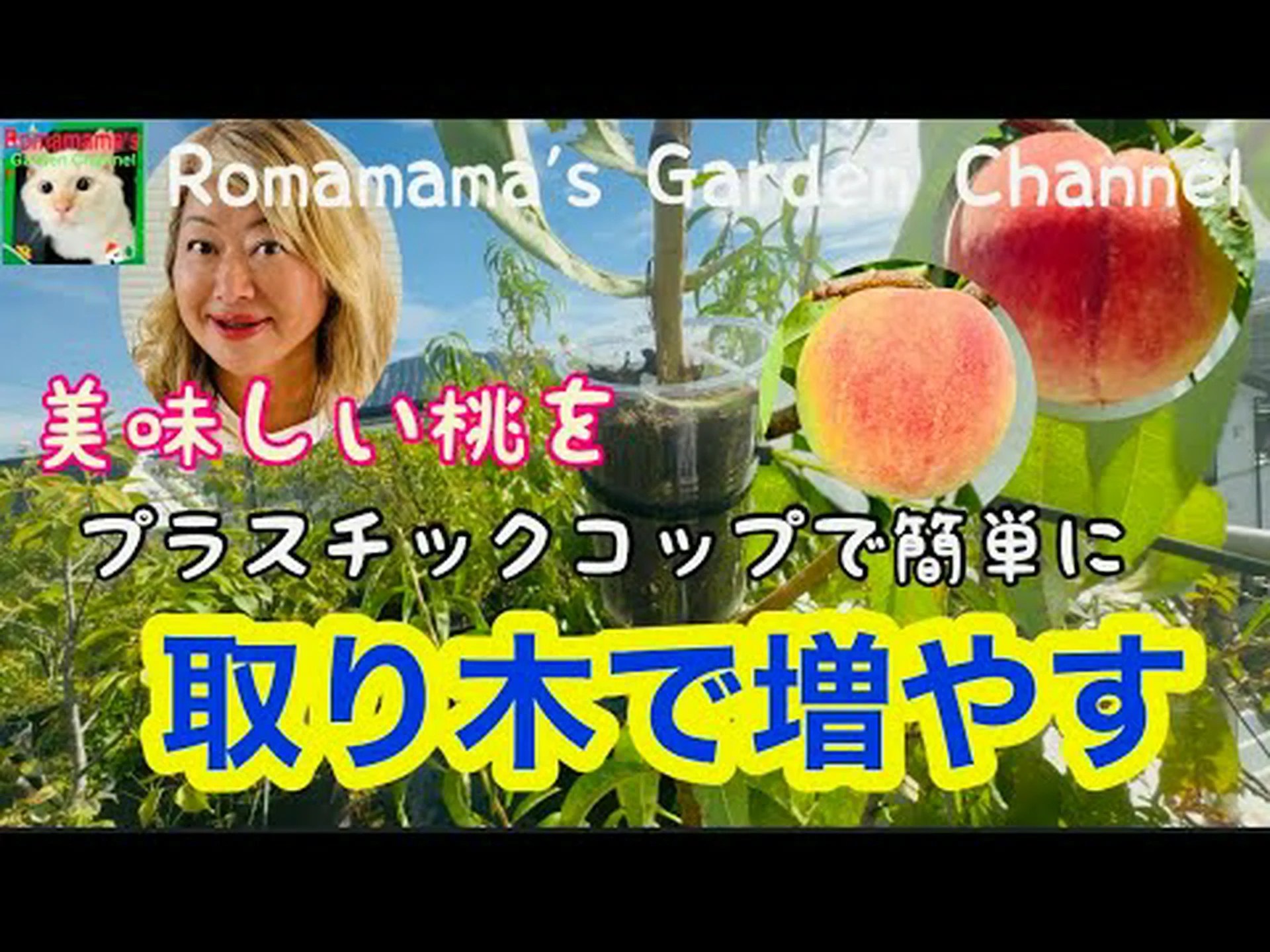 桃の木を増やす 桃の木を増やす