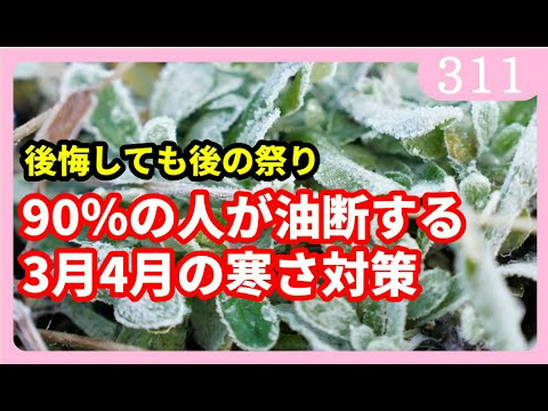 霜が降りやすい植物 霜が降りやすい植物