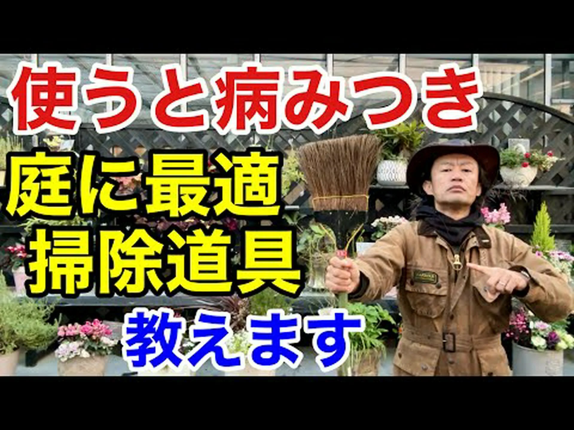 スコッチほうき スコッチほうき