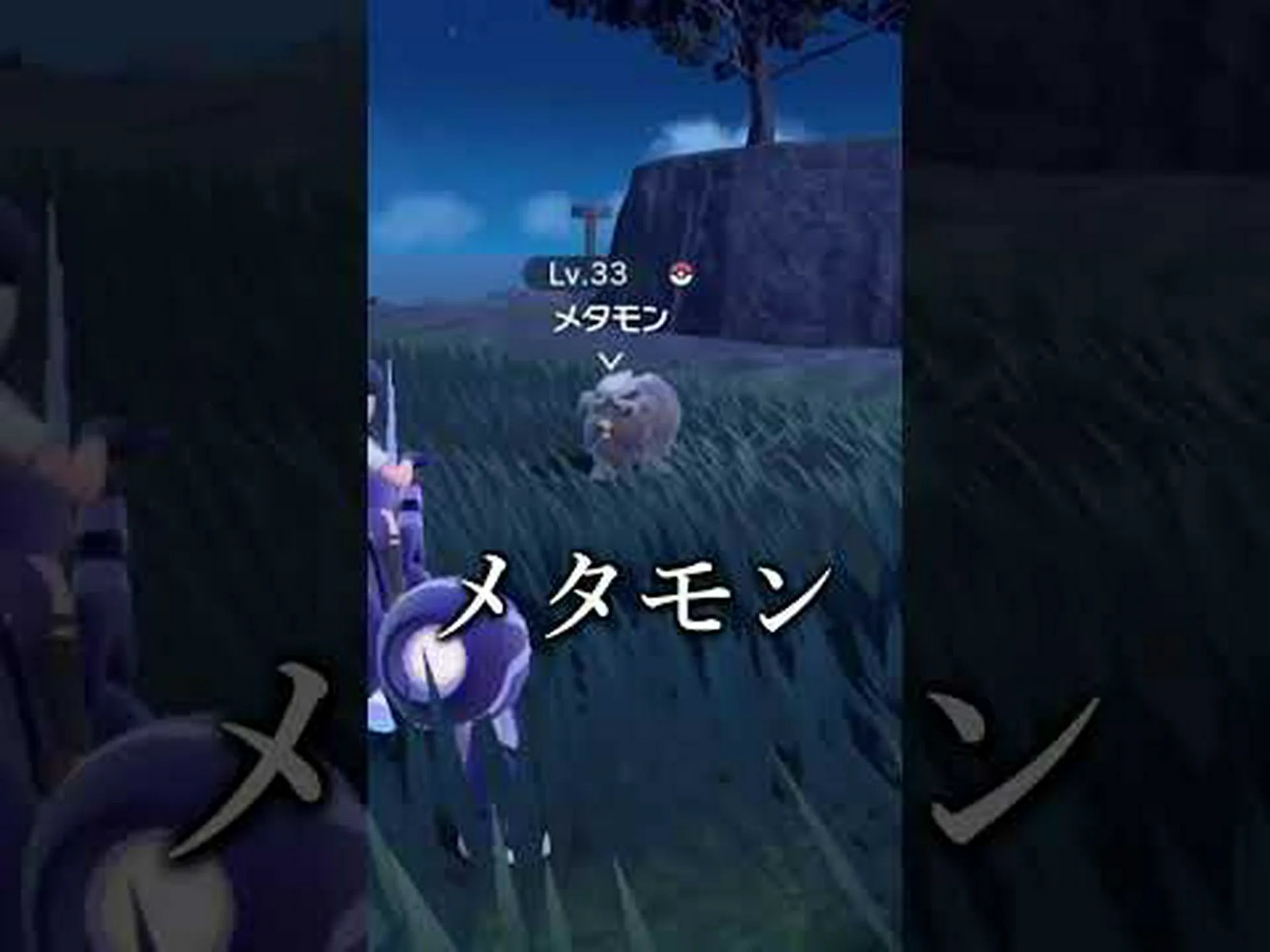 フレグランスバイオレット、マーチバイオレット、ベリーバイオレット フレグランスバイオレット、マーチバイオレット、ベリーバイオレット