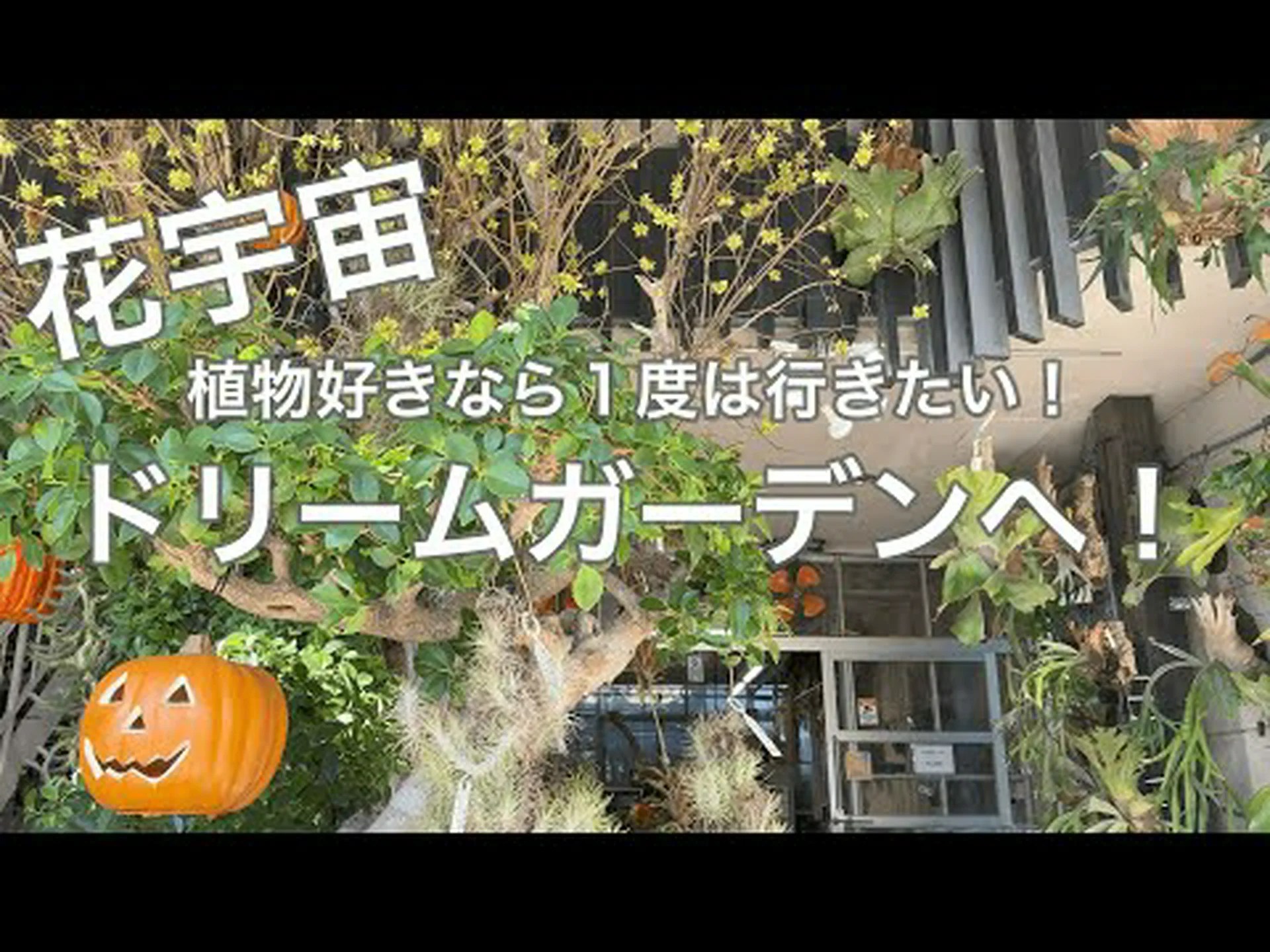 ナント植物園 ナント植物園