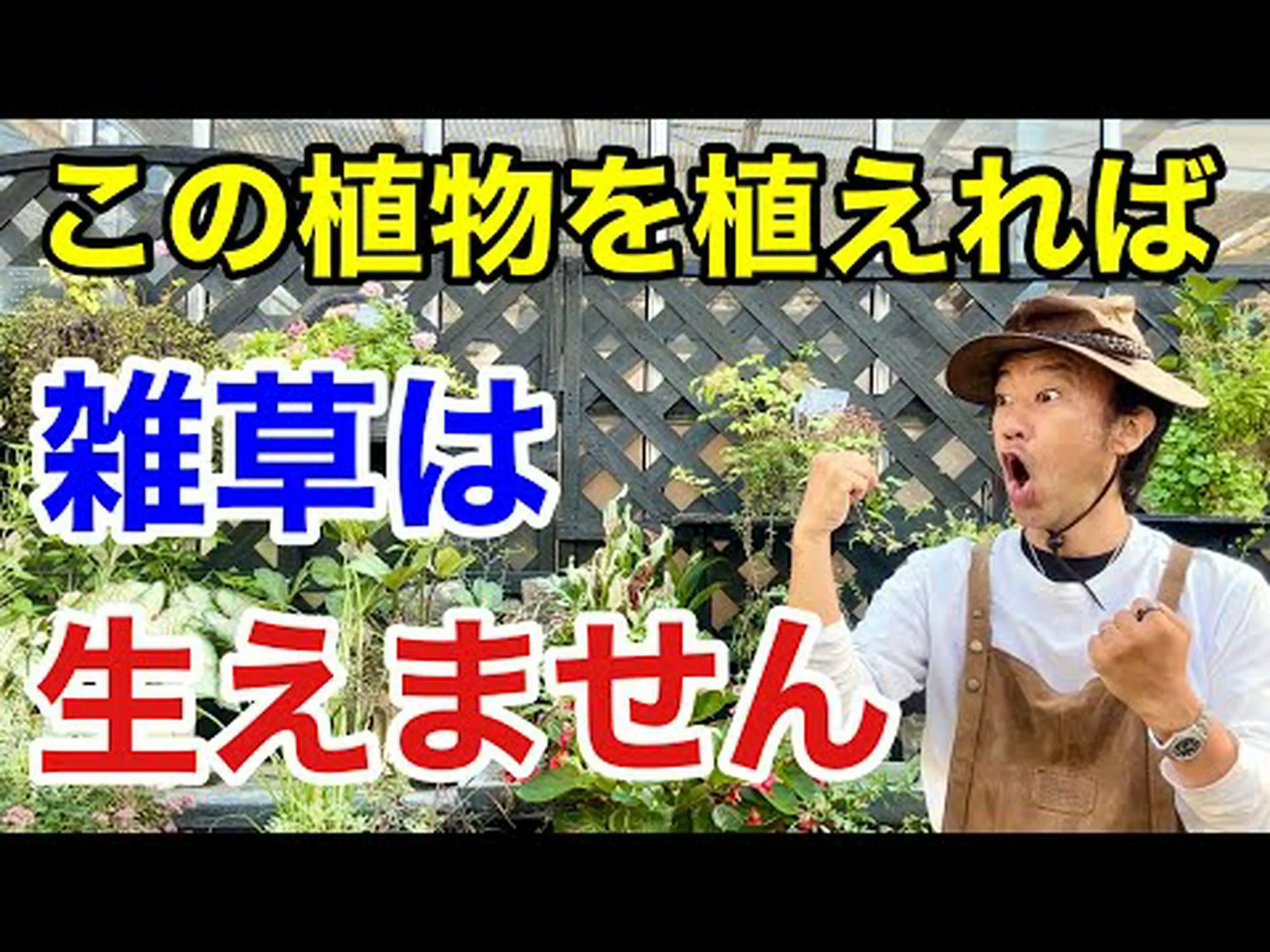 通路を強調する植物 通路を強調する植物