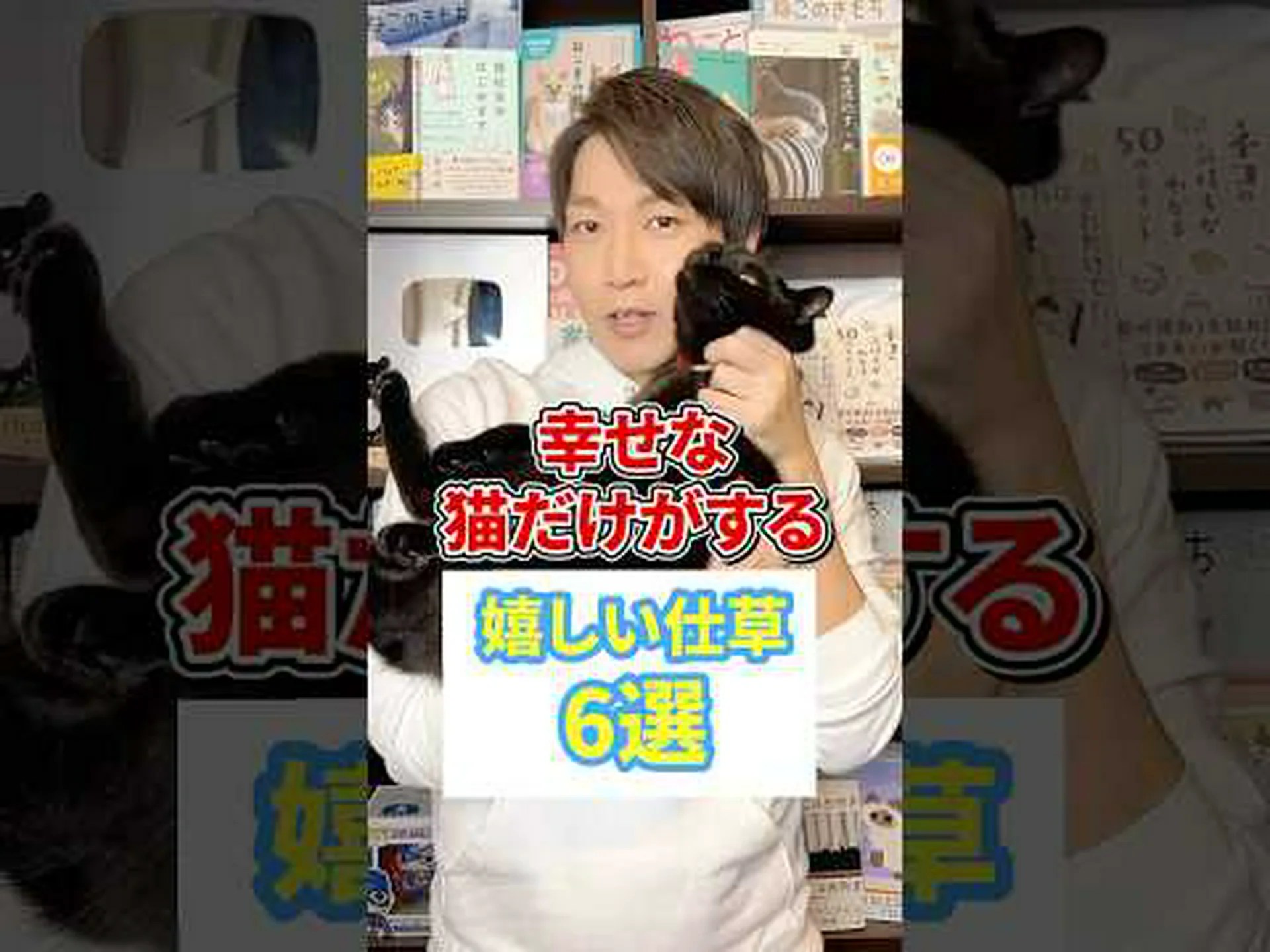 猫を選んでください 猫を選んでください