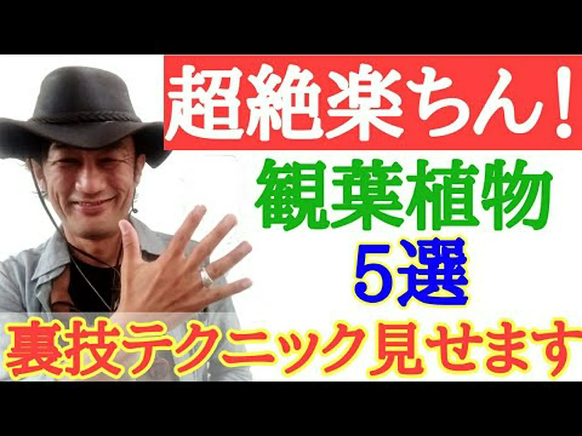 コスタリカ産のバンブーヤシ コスタリカ産のバンブーヤシ