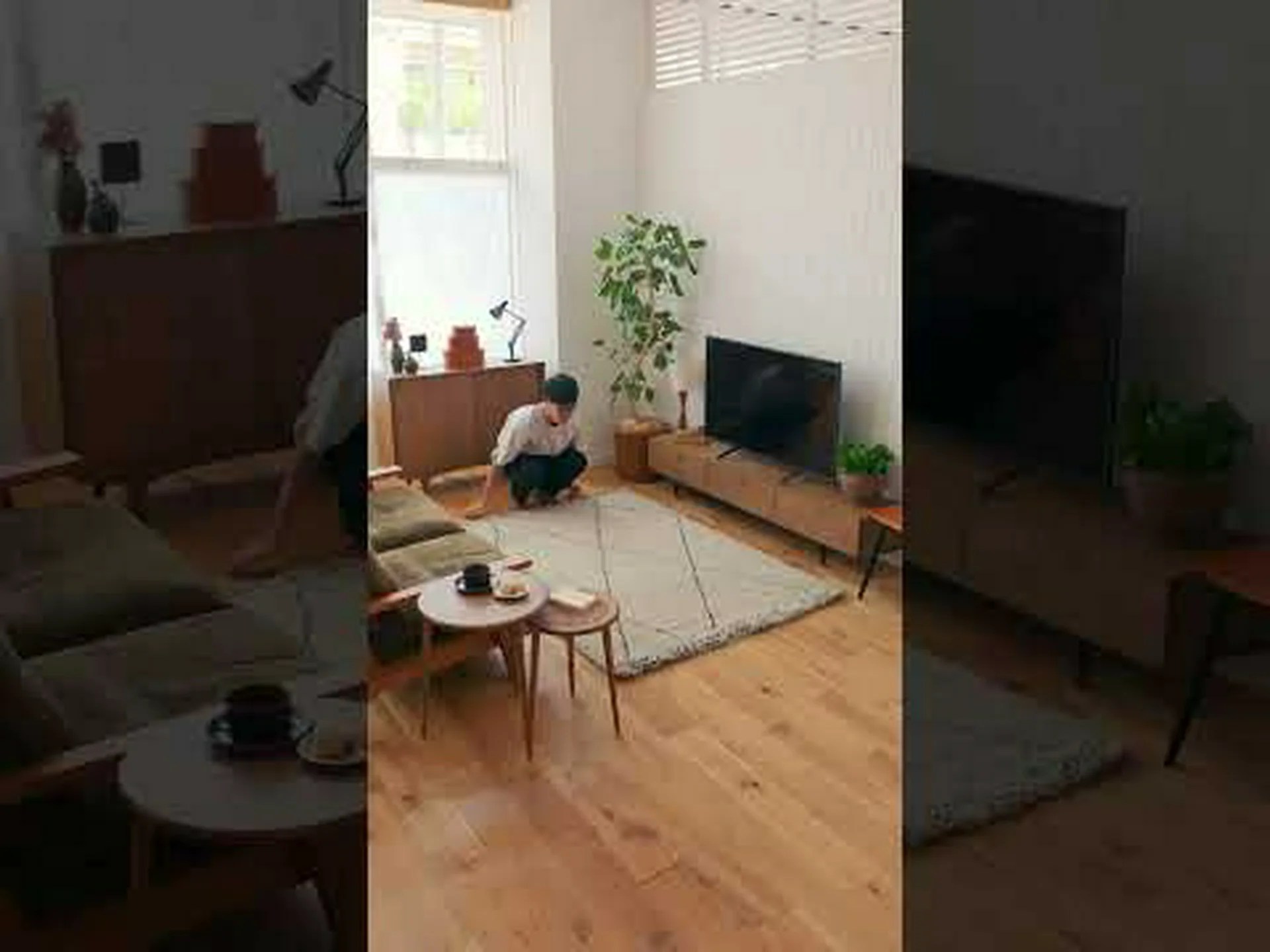 バーバートンラグワート バーバートンラグワート