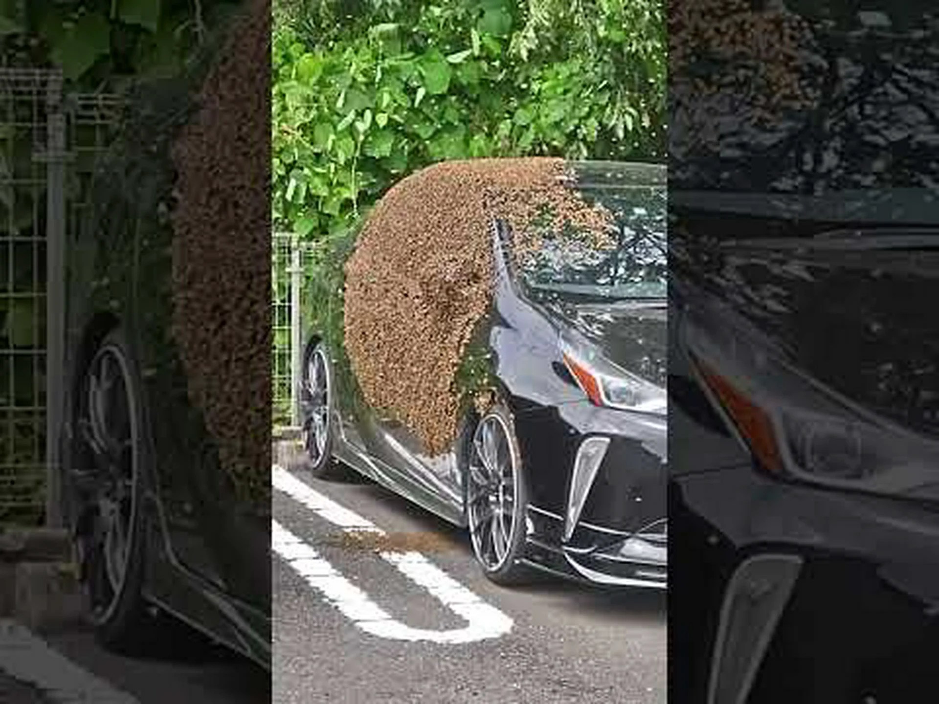 ミツバチに代わるドローンの時代へようこそ! ミツバチに代わるドローンの時代へようこそ!