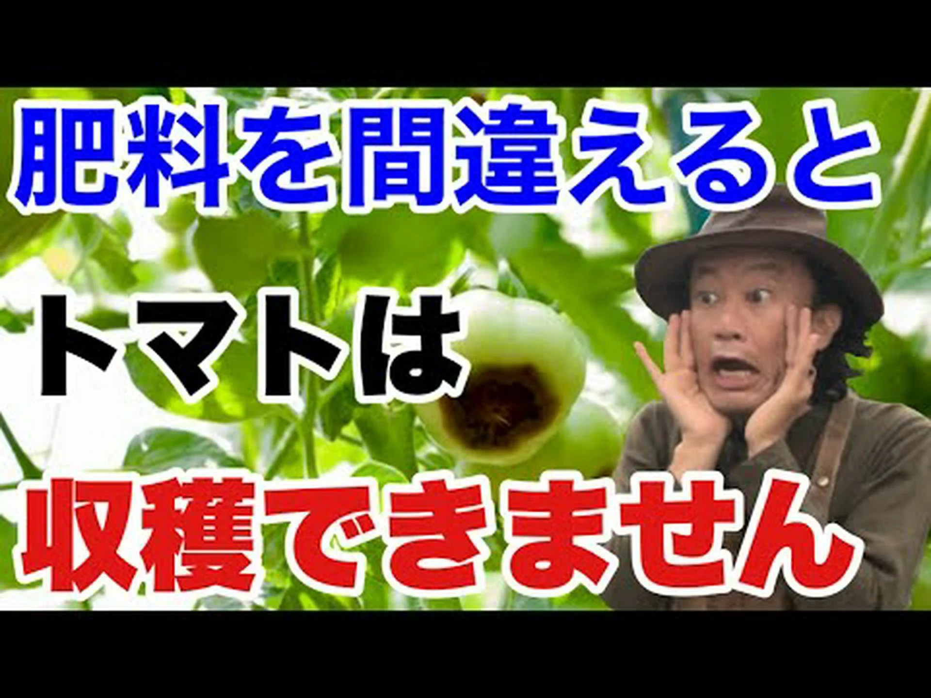 トマトの利点は何ですか? トマトの利点は何ですか?