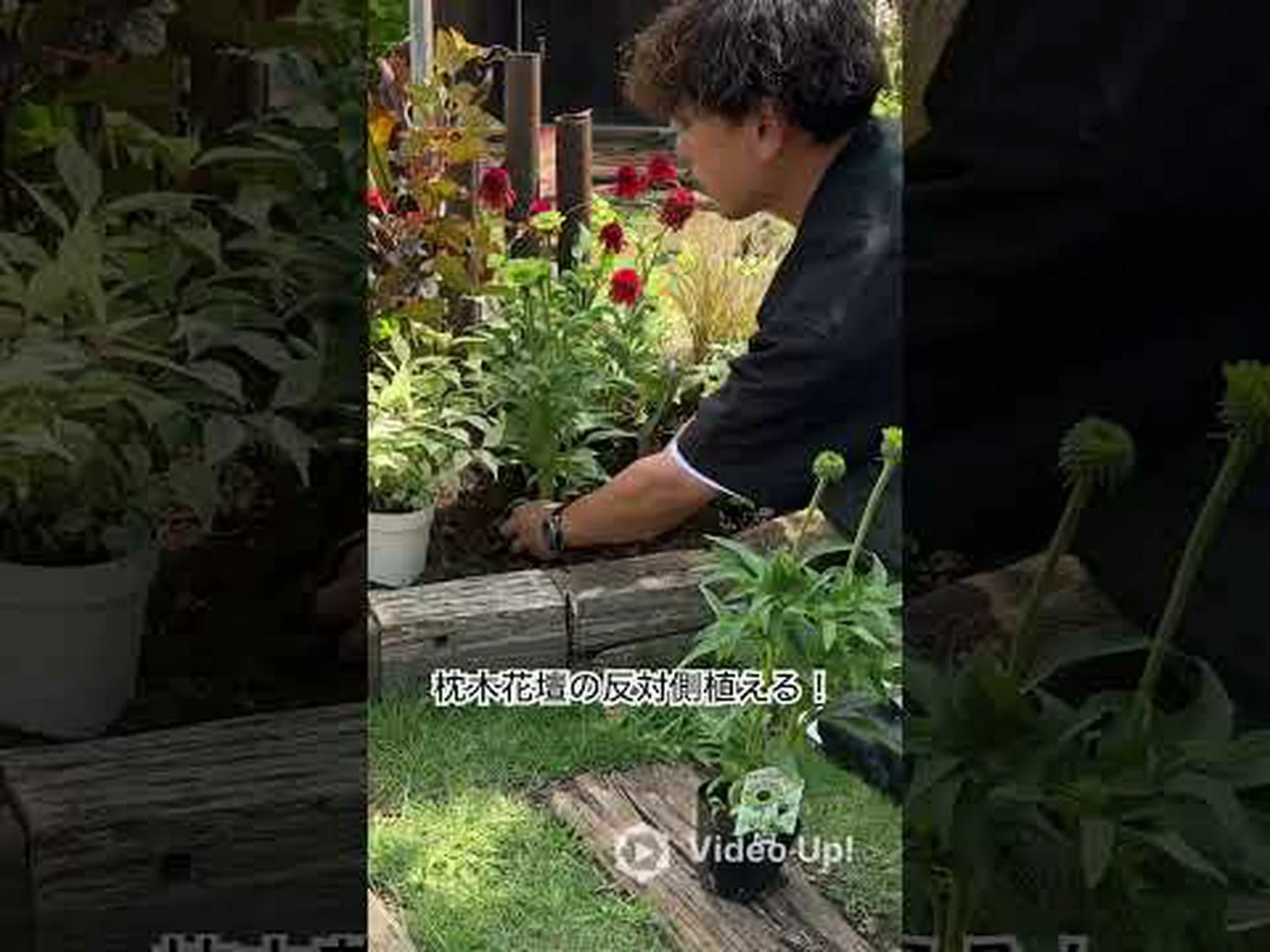 スイミングプールの端にある花壇 スイミングプールの端にある花壇