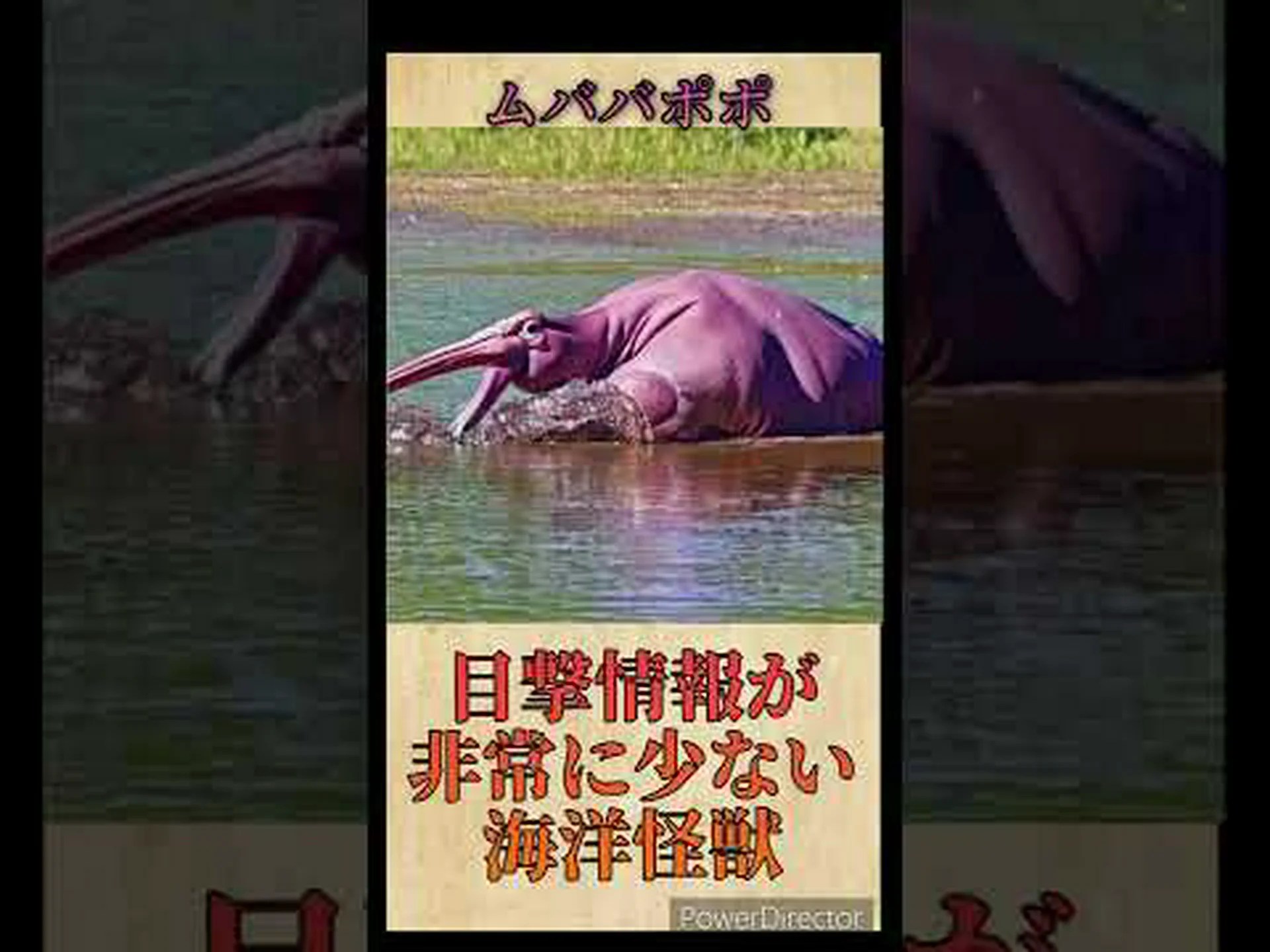 バトラキアン、陸と水の間で進化する動物 バトラキアン、陸と水の間で進化する動物