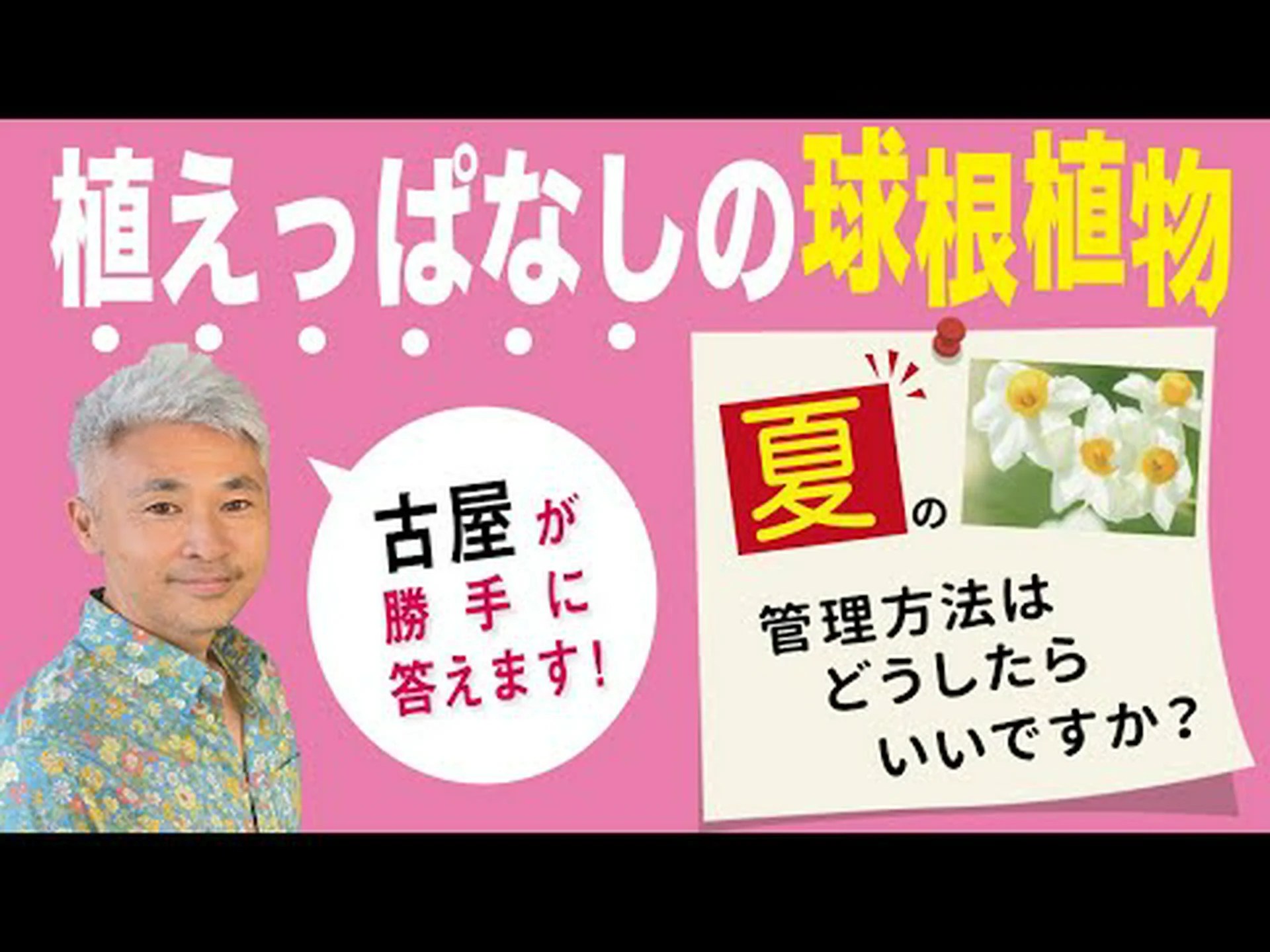 夏の球根 夏の球根