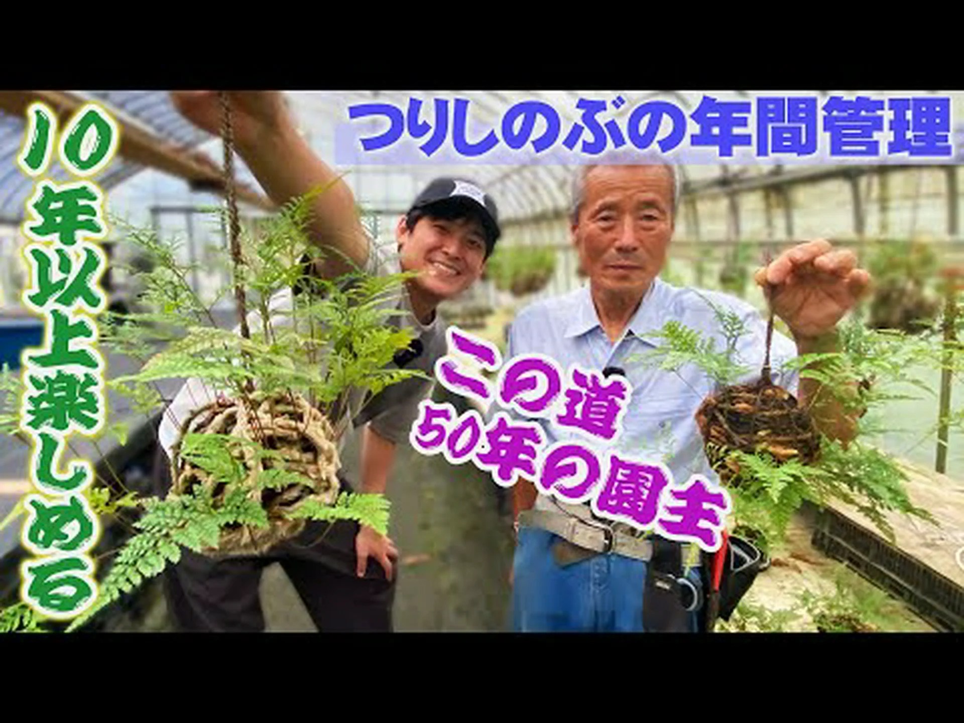 修道士のタラゴン 修道士のタラゴン