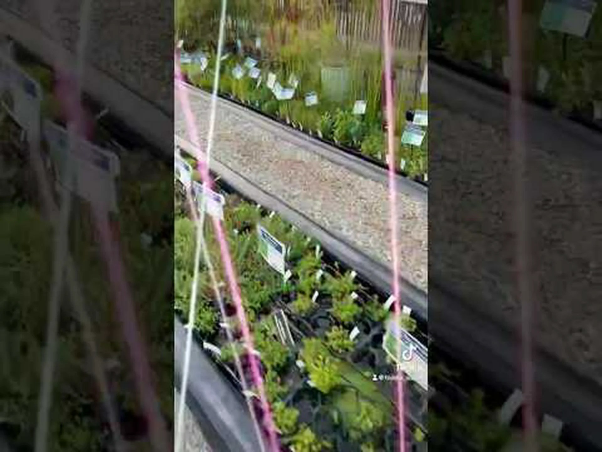 生体模倣 生体模倣