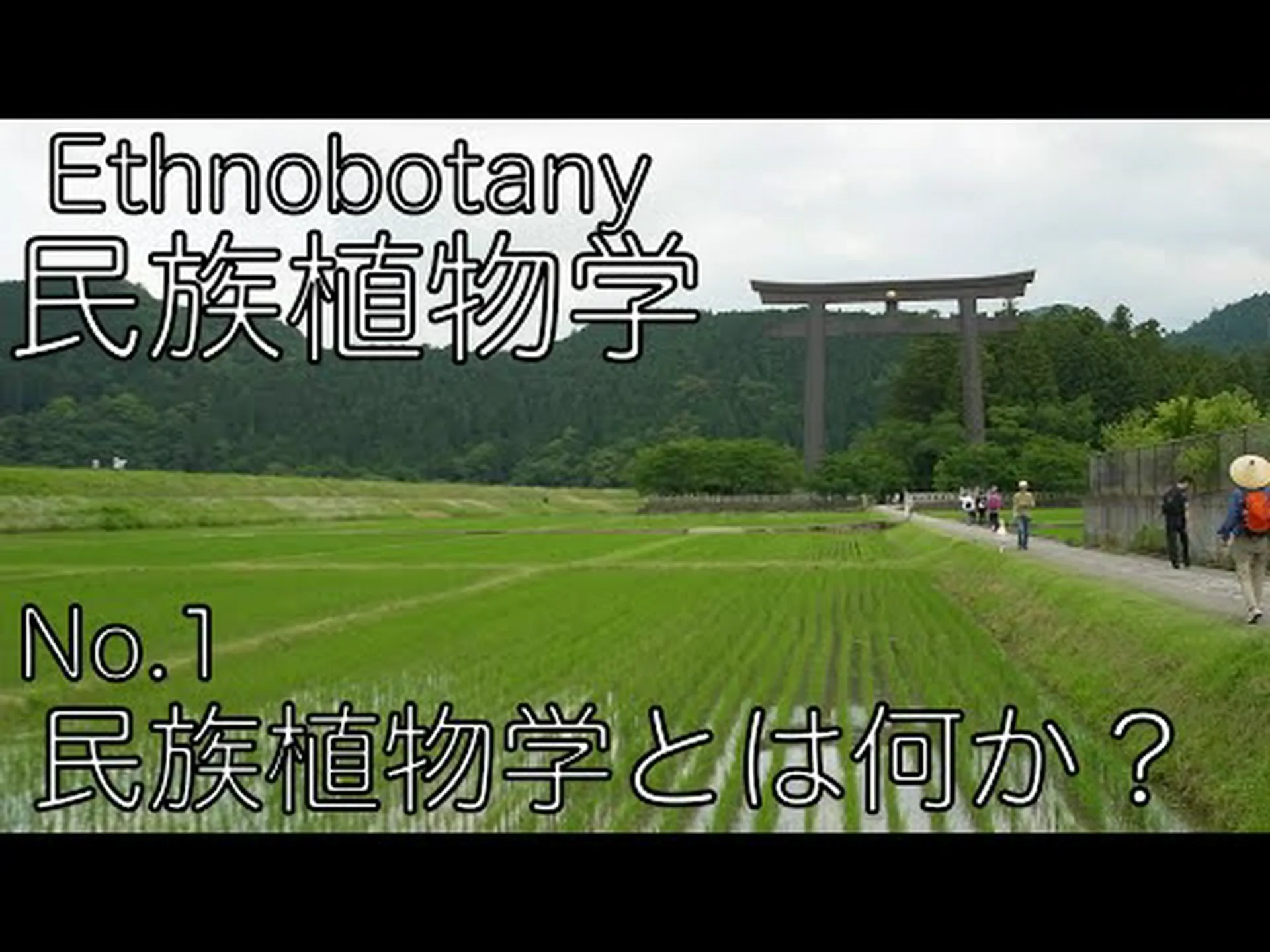 民族植物学 民族植物学