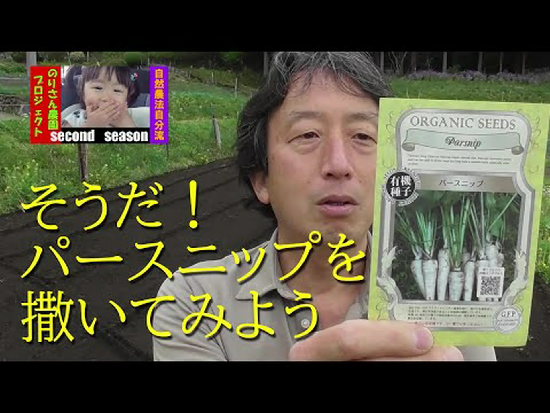 パースニップ、パステナード パースニップ、パステナード