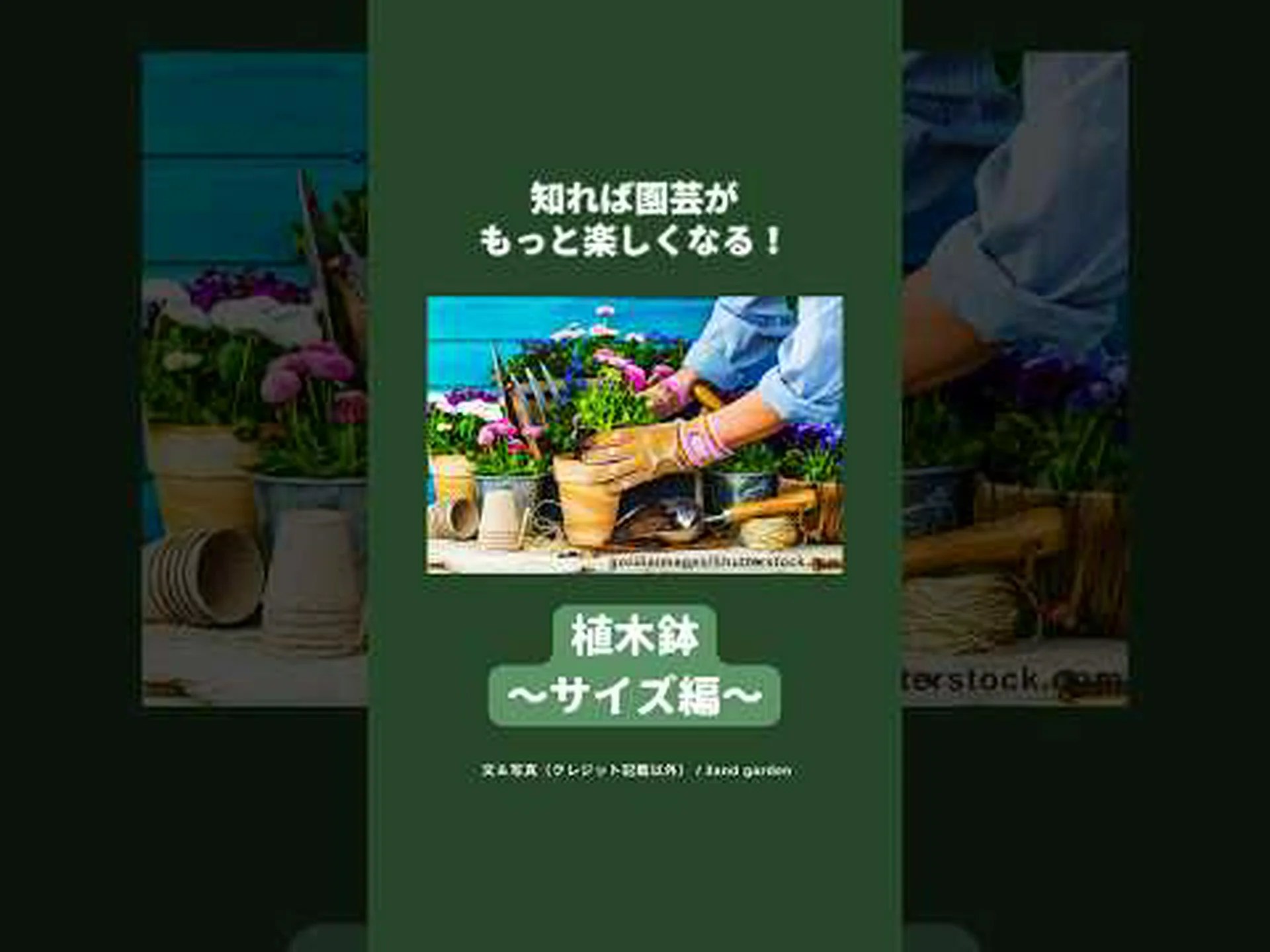 庭用のXXLサイズの鉢 庭用のXXLサイズの鉢