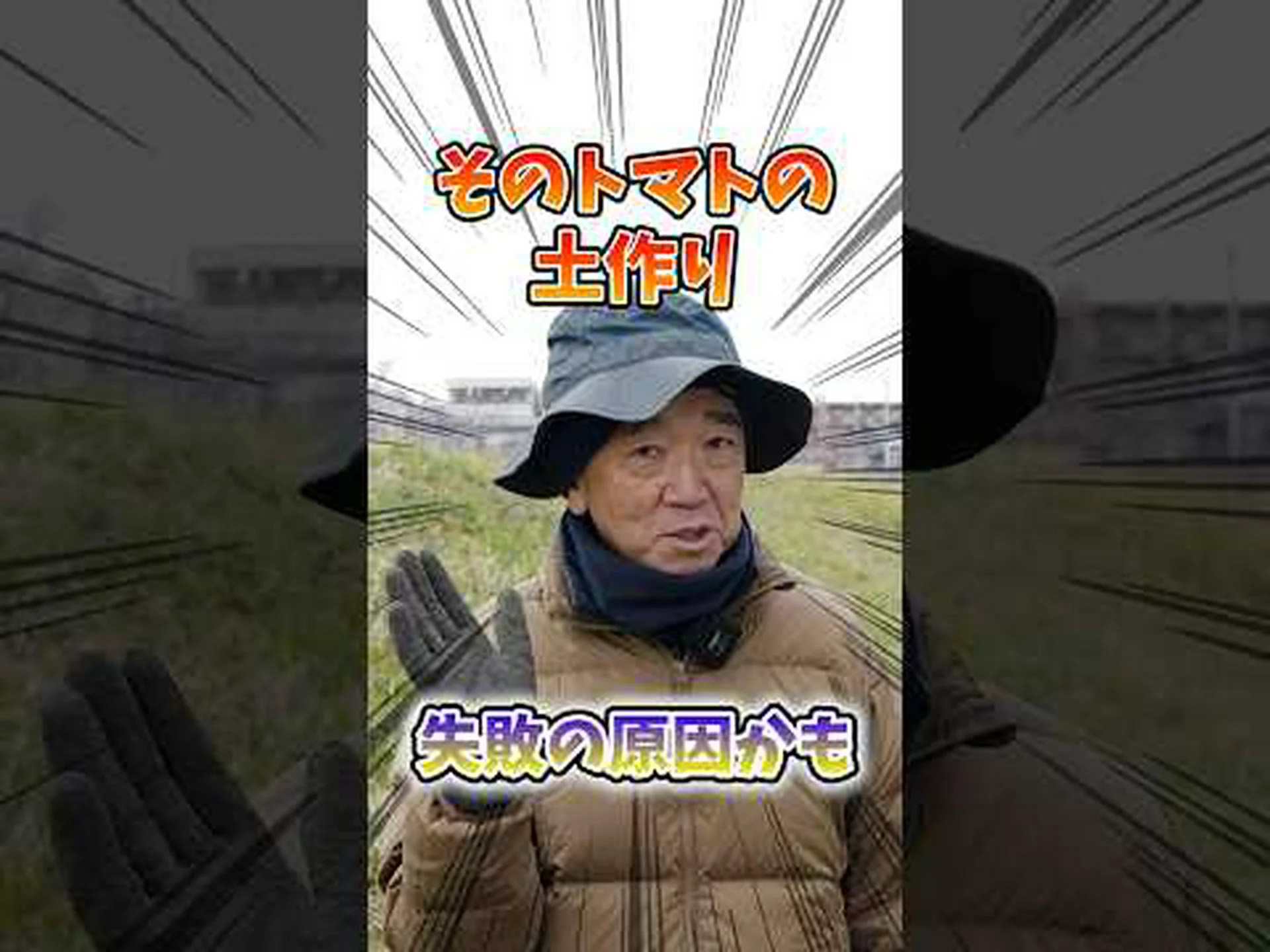 トマト:良い植物と悪い植物の組み合わせ トマト:良い植物と悪い植物の組み合わせ