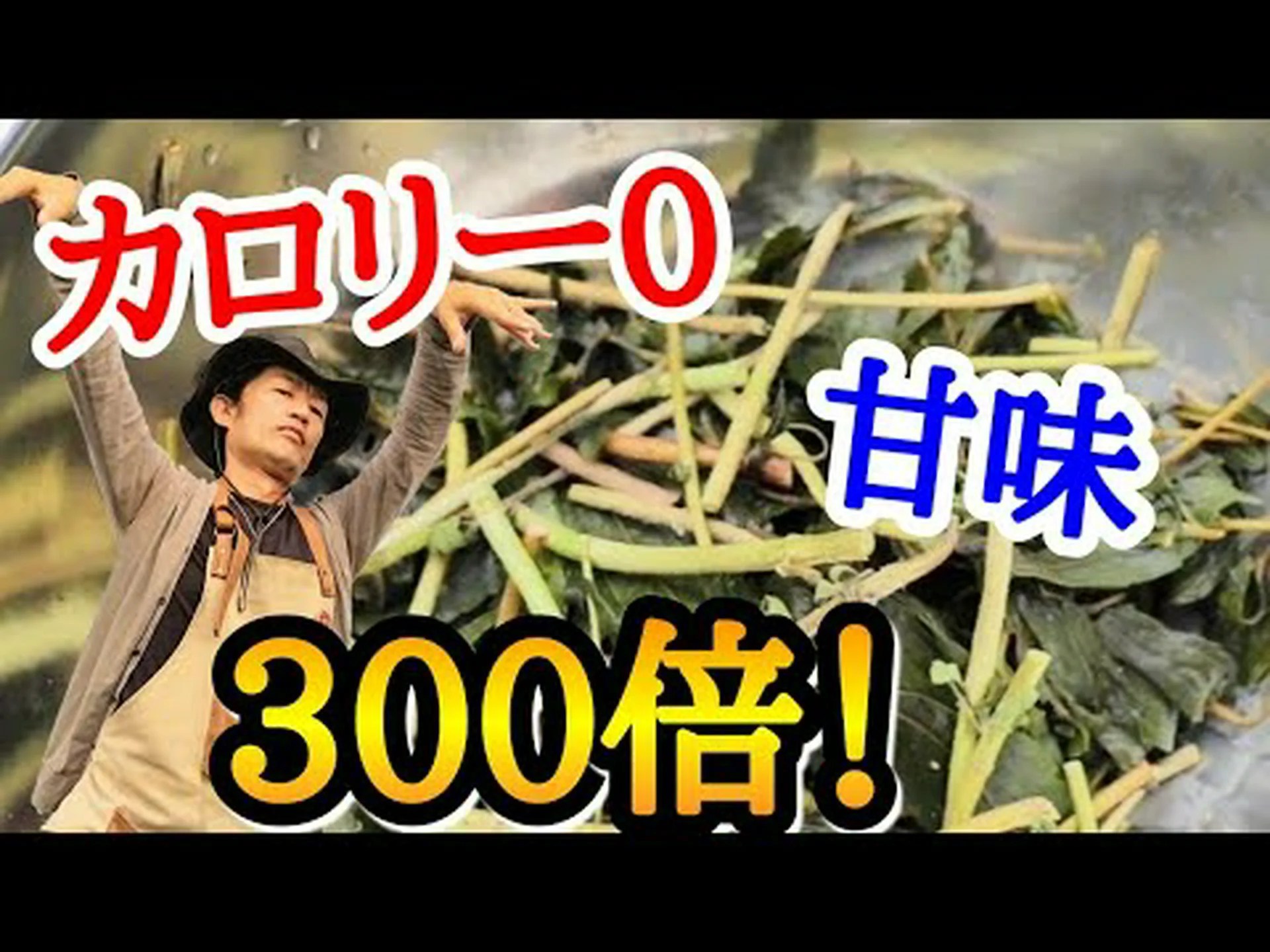 シュガーグラス、ウォーターヘンプ、ステビア シュガーグラス、ウォーターヘンプ、ステビア