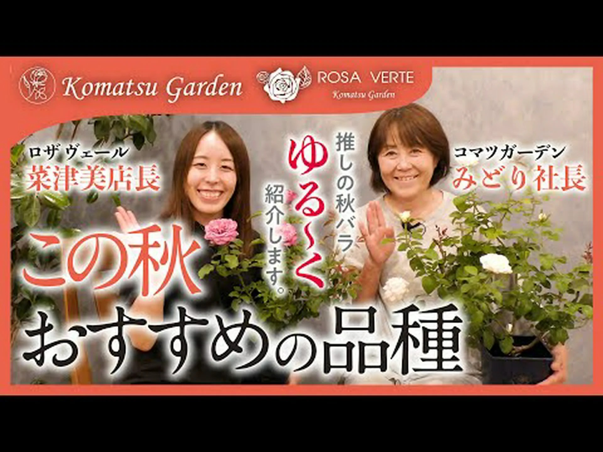 ミルキートウダイグサ、ドラゴンボーン、燭台トウダイグサ ミルキートウダイグサ、ドラゴンボーン、燭台トウダイグサ