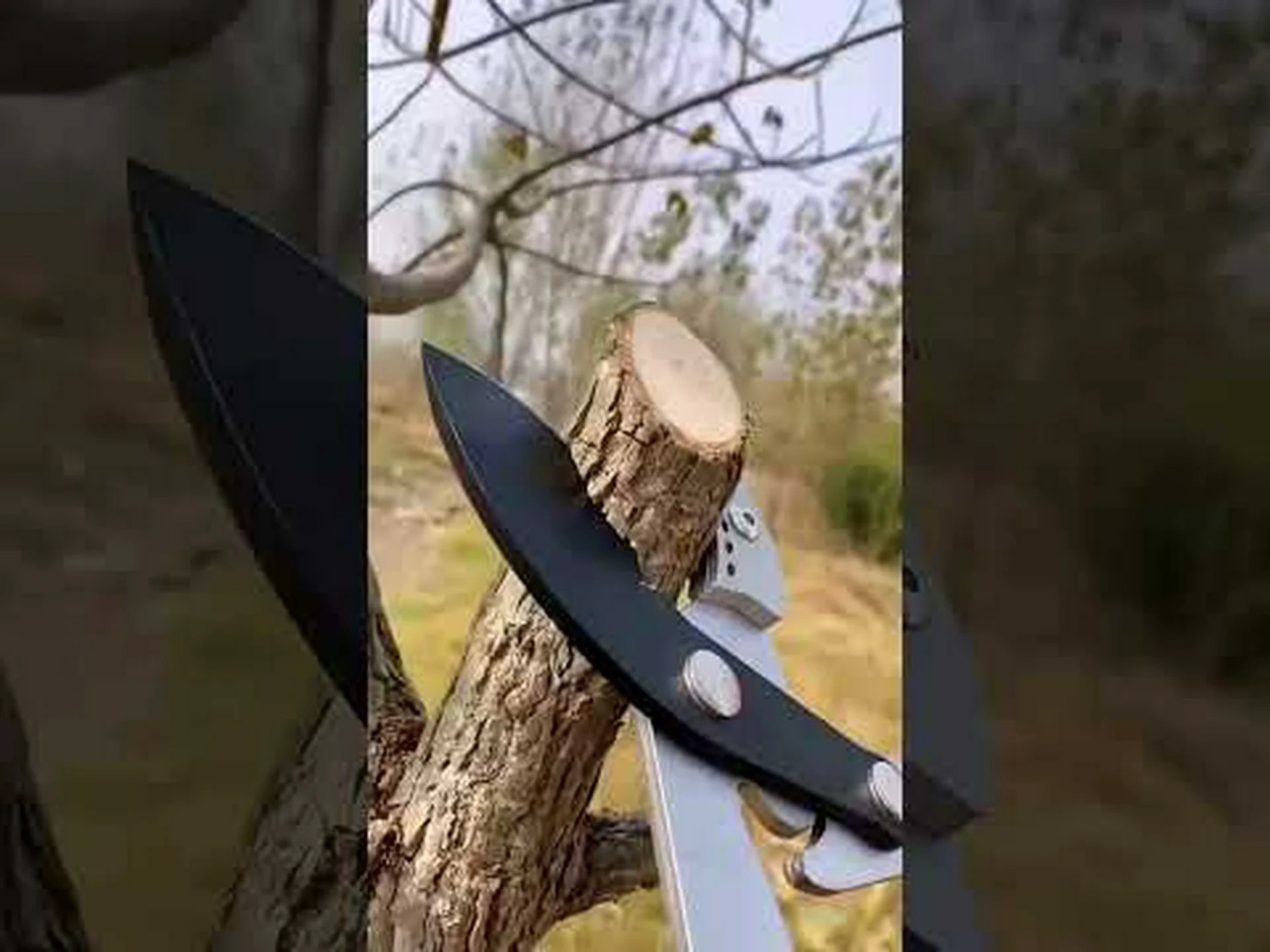 果樹の修復剪定 果樹の修復剪定