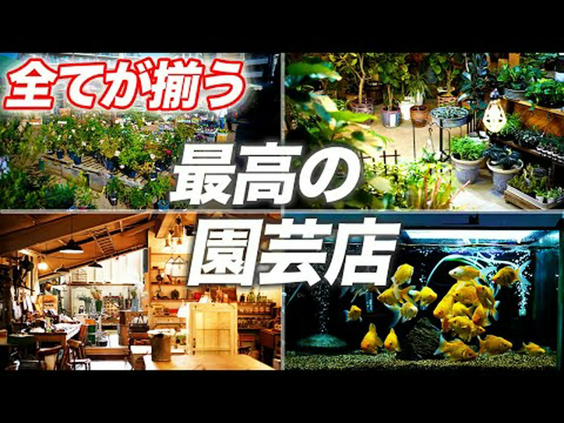 テネリフェ島バグロス テネリフェ島バグロス